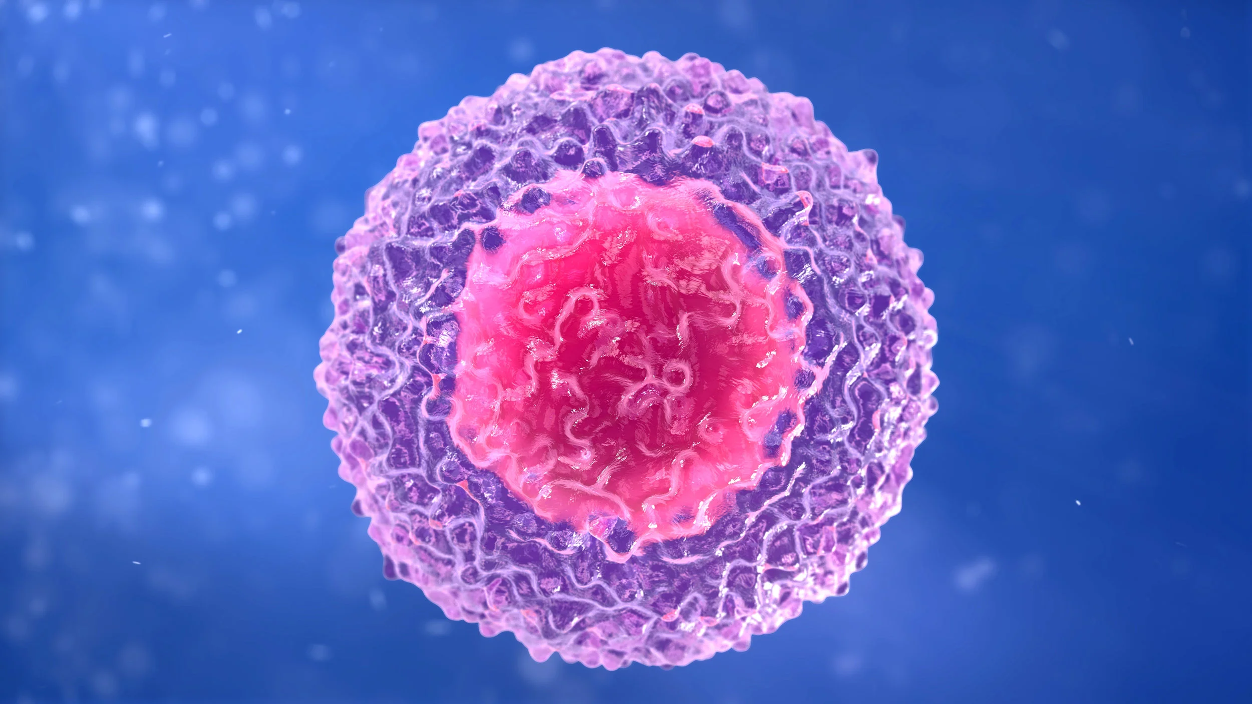 Gliotoxins induce apoptosis in lymphocytes by a marked increase in cAMP.