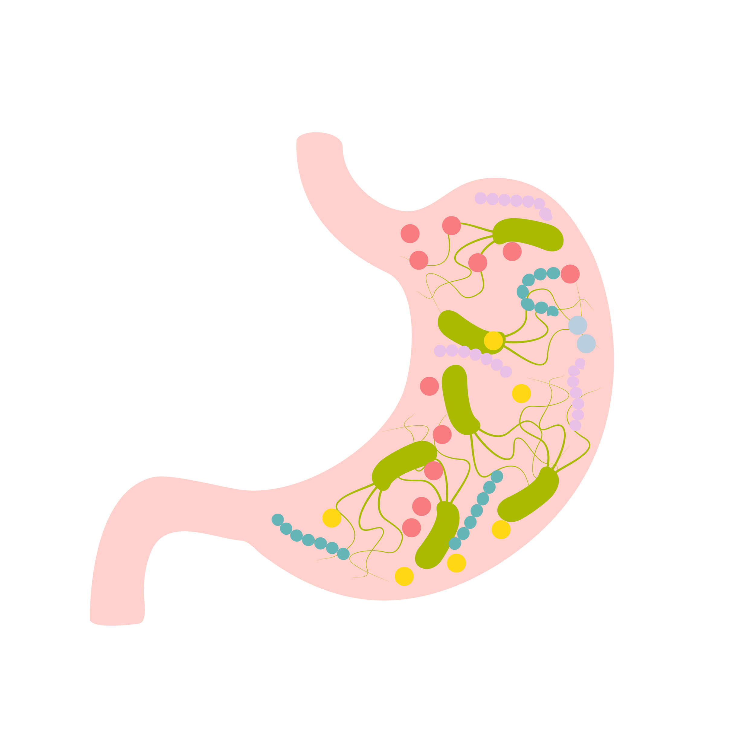 Why You Should Chew Your Food Slowly