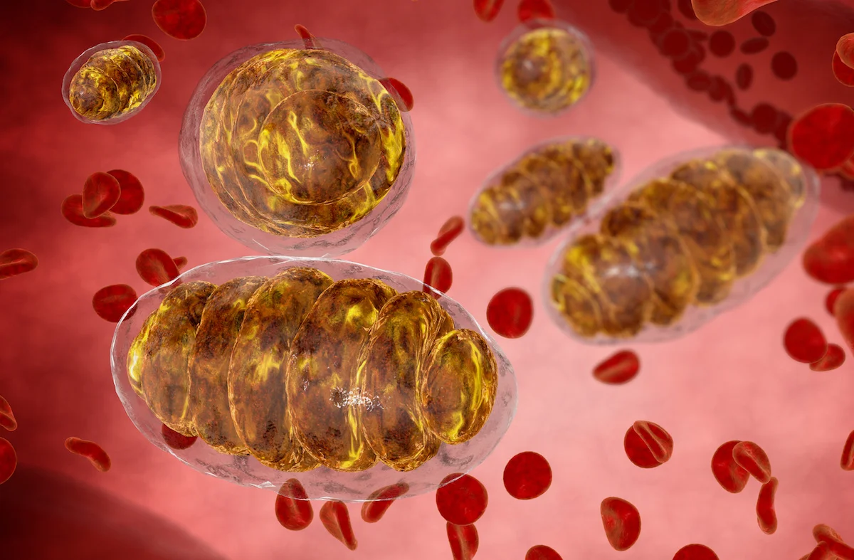 A Lesson in Biochemistry with Dr. Robert Selig