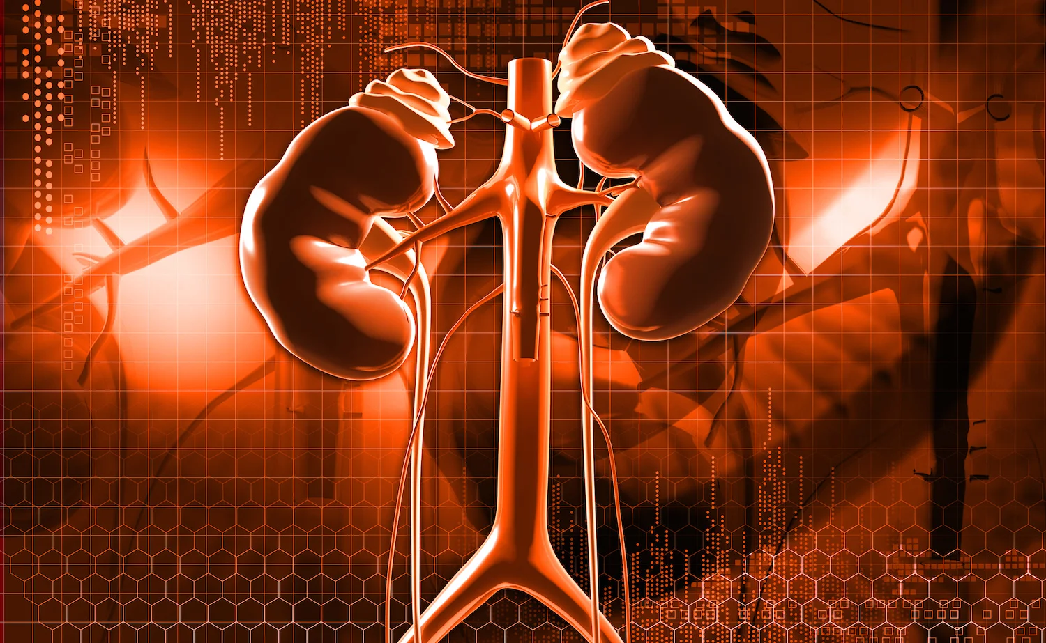 7 Causes of Adrenal Burnout