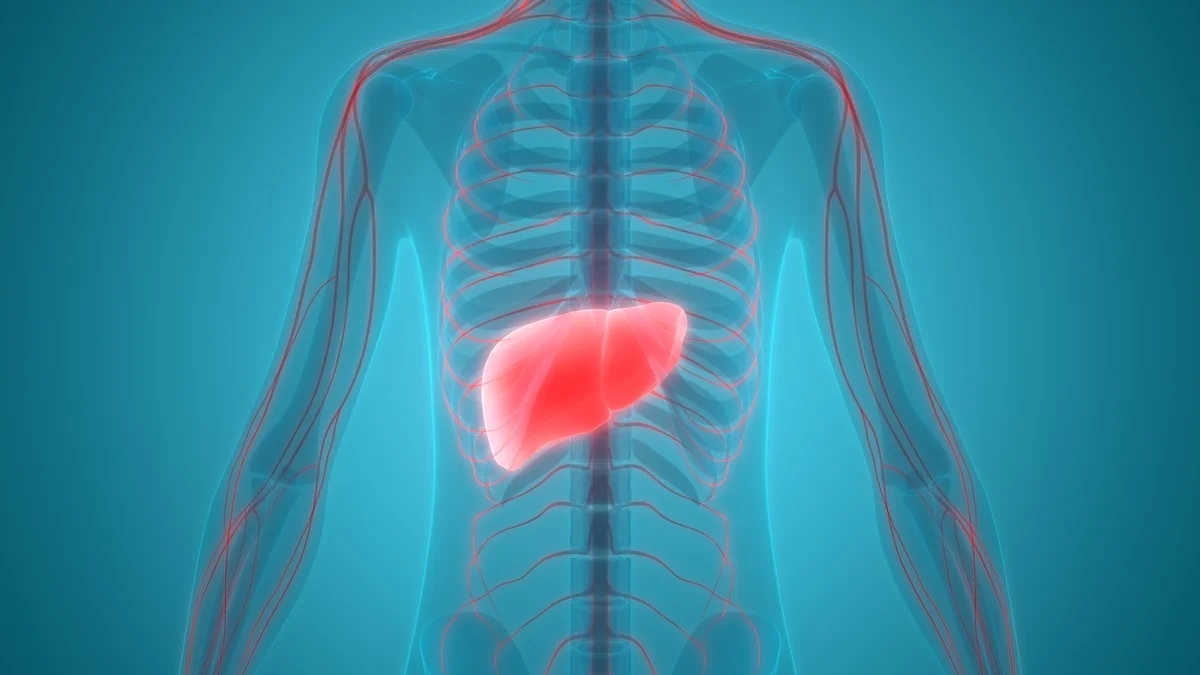 How Coffee Enemas and Liver-Gallbladder Flushes Improve Your Health By Stimulating Your Liver To Eliminate Toxins