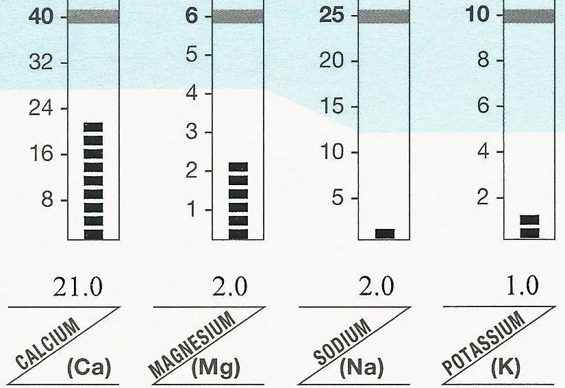 The Four Lows Electrolyte Pattern and How You Can Speed Up Recovery