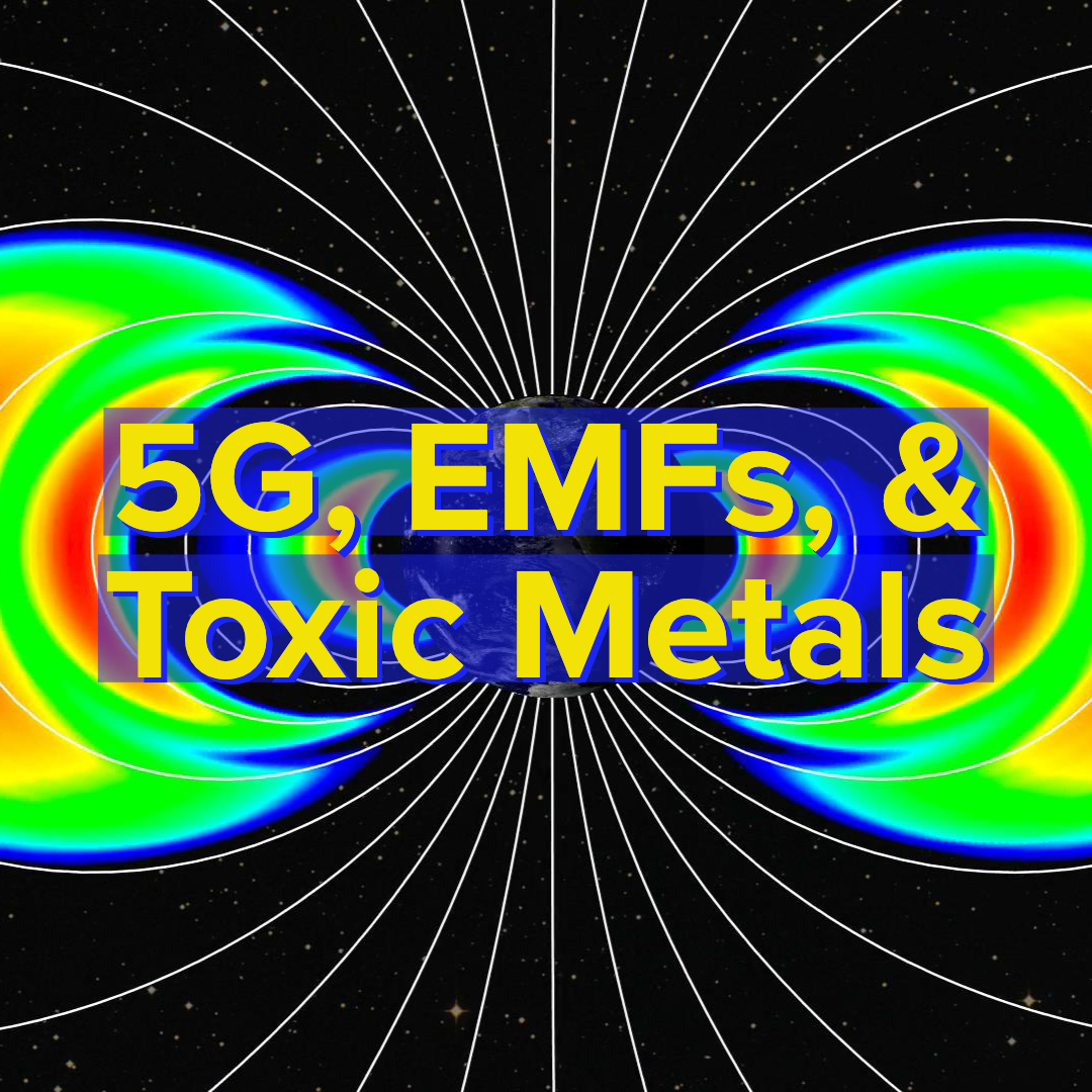 5G and EMFs Affect Those With More Toxic Metals