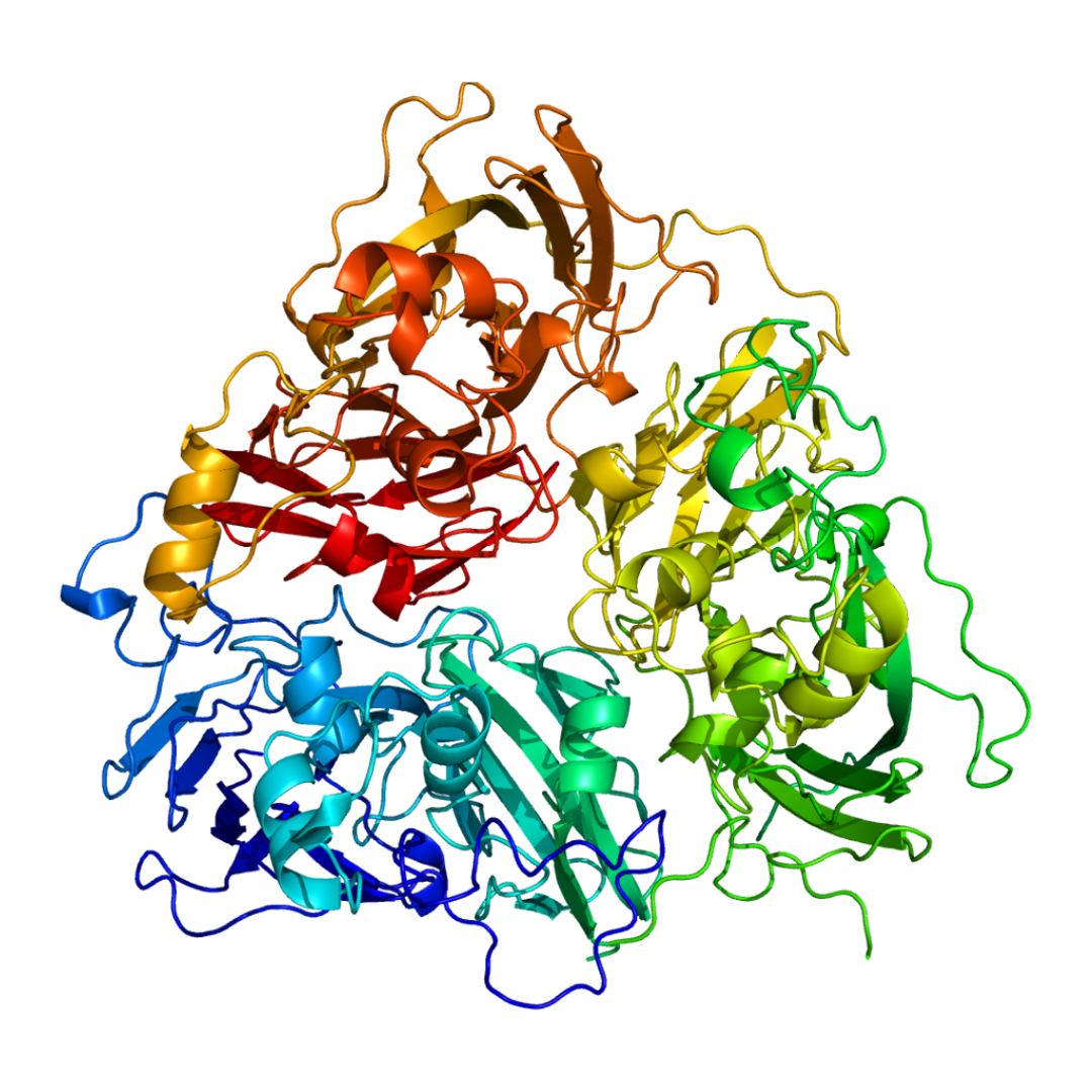 Why Increased Ceruloplasmin Levels Are Associated With Chronic Illnesses