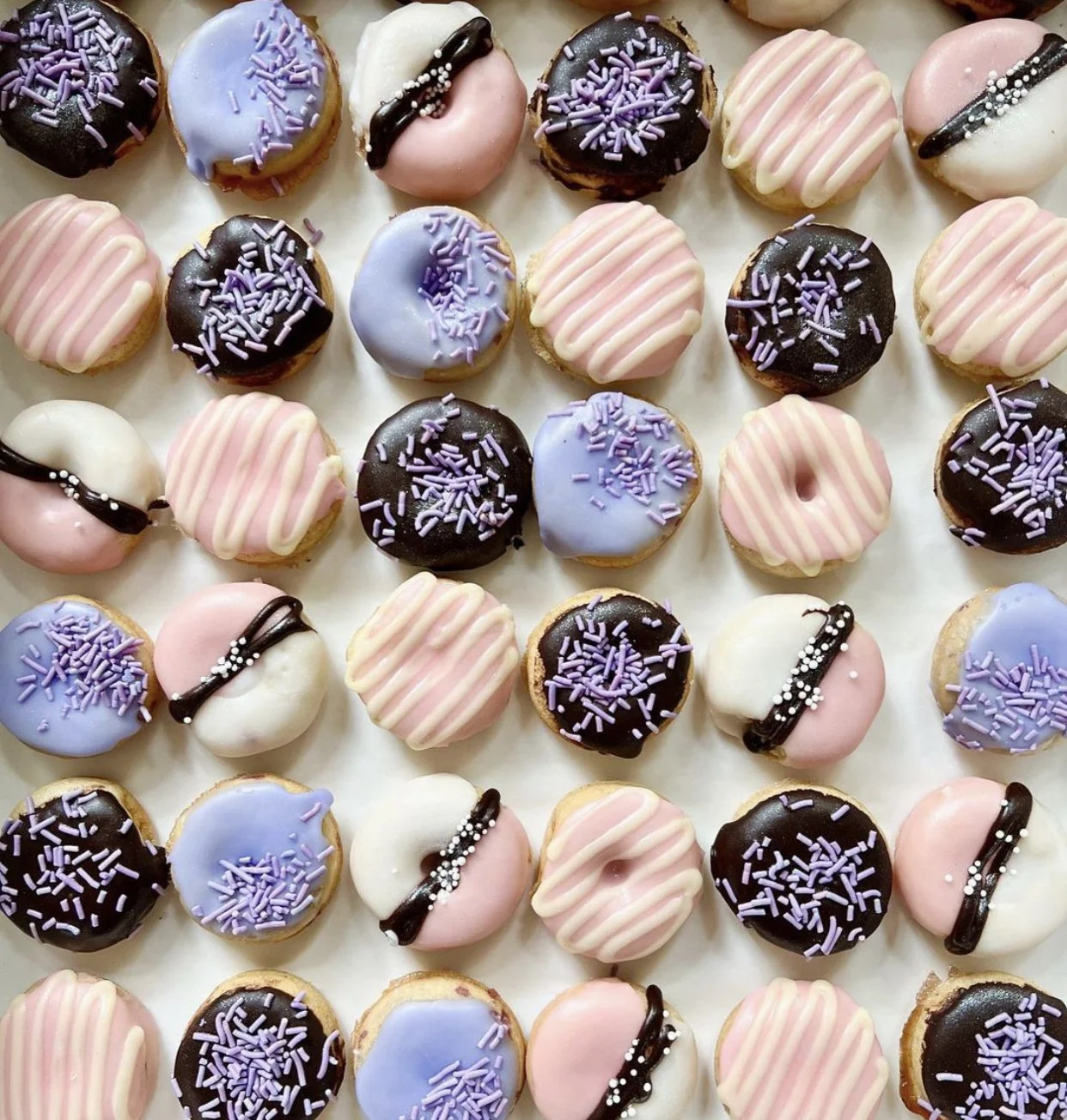 BITE  • WTC • PP