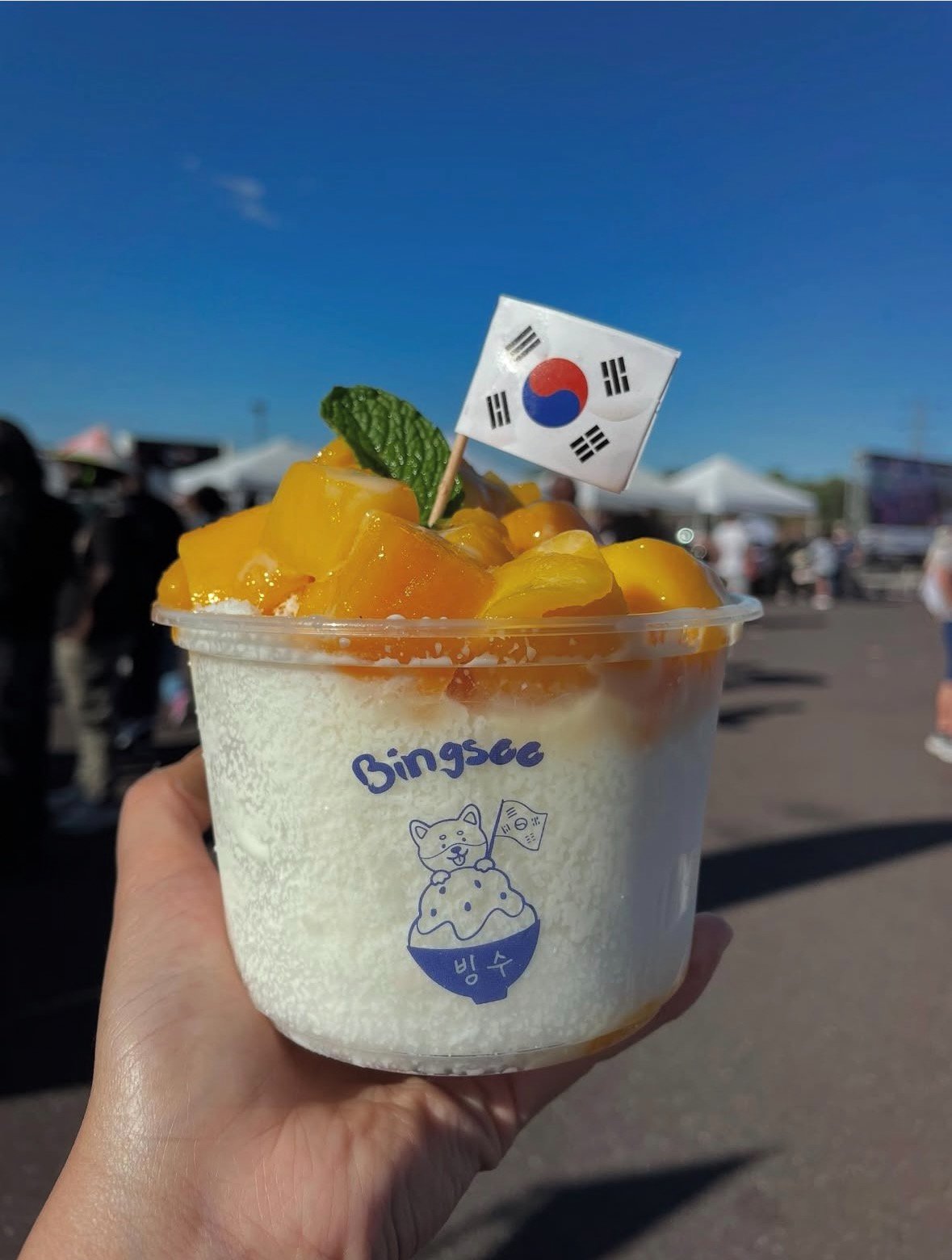 Bingsoo NYC • WB • PP