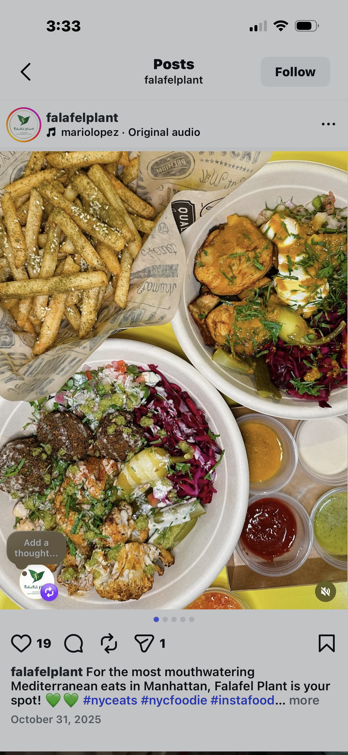 Falafel Plant • PP