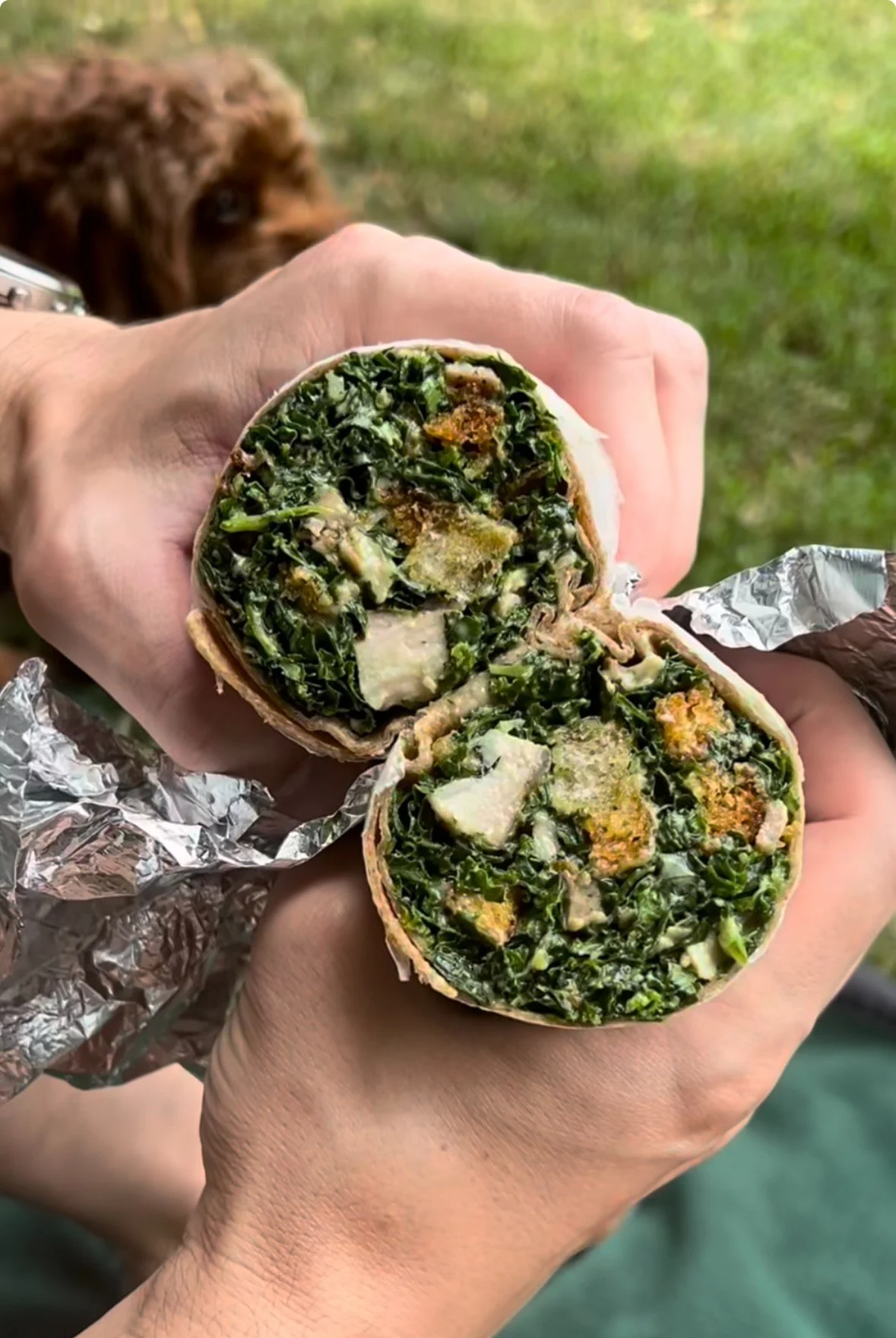 Pretty Horse Worker Cooperative • WB