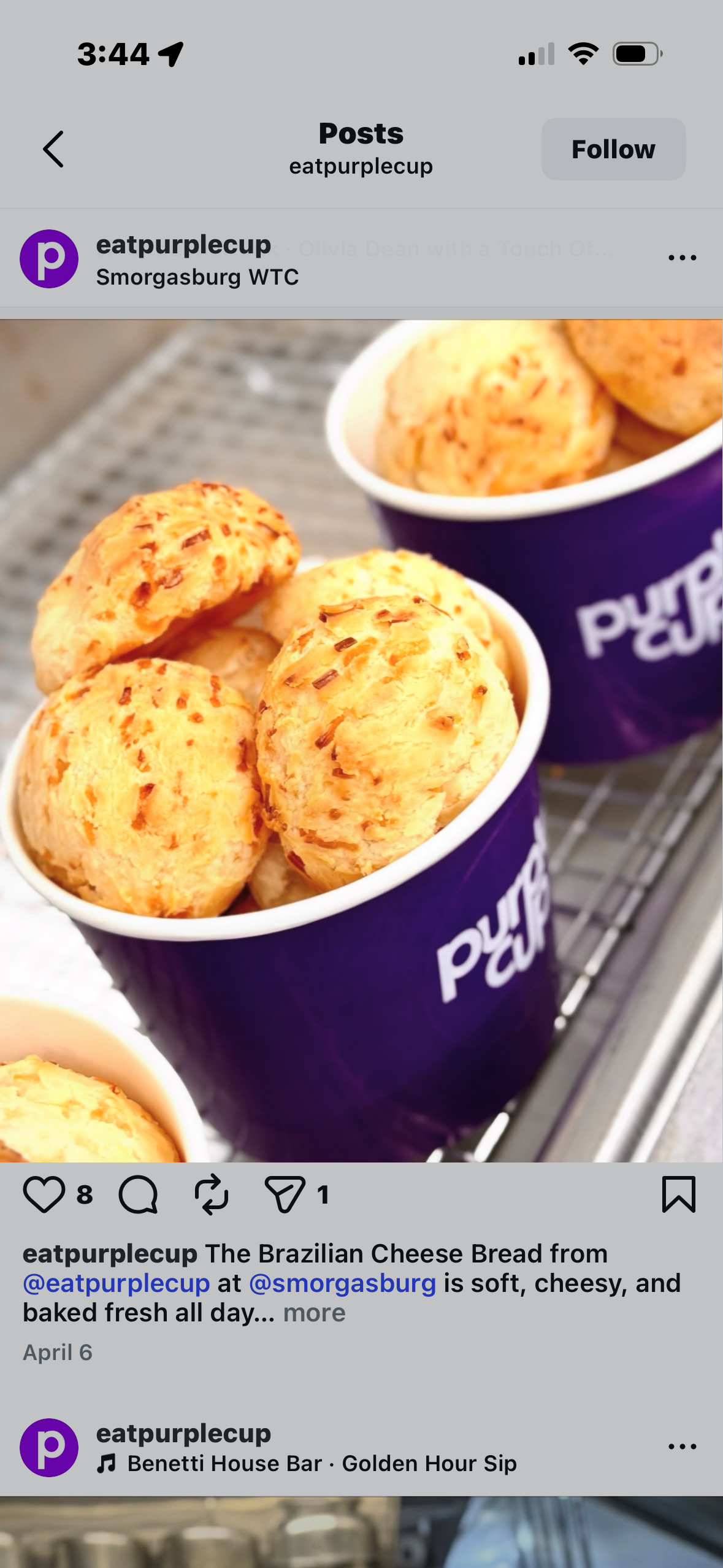 Purple Cup • WTC(T/F) • WB • PP