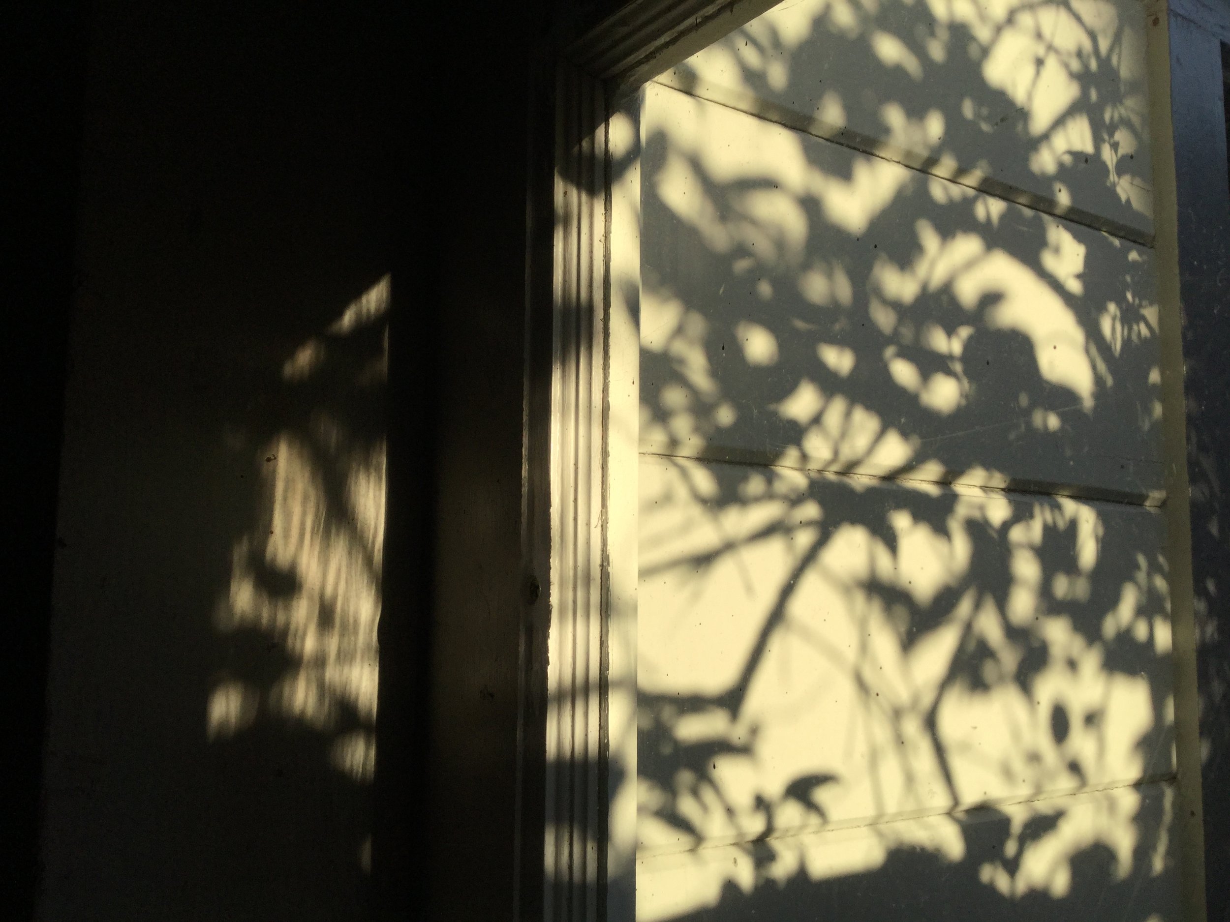 17_Dawn_Window_Shadow.JPG
