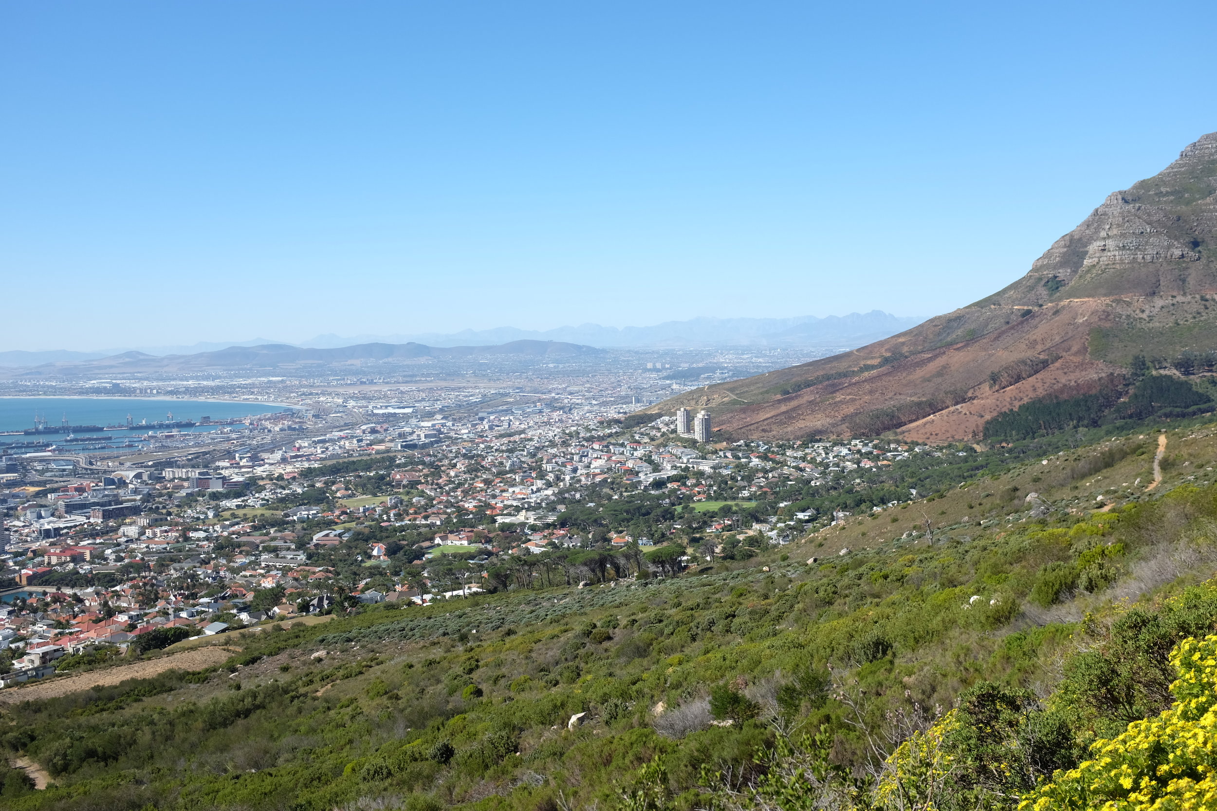 A view of Cape Town from atop Table Mountain. 
