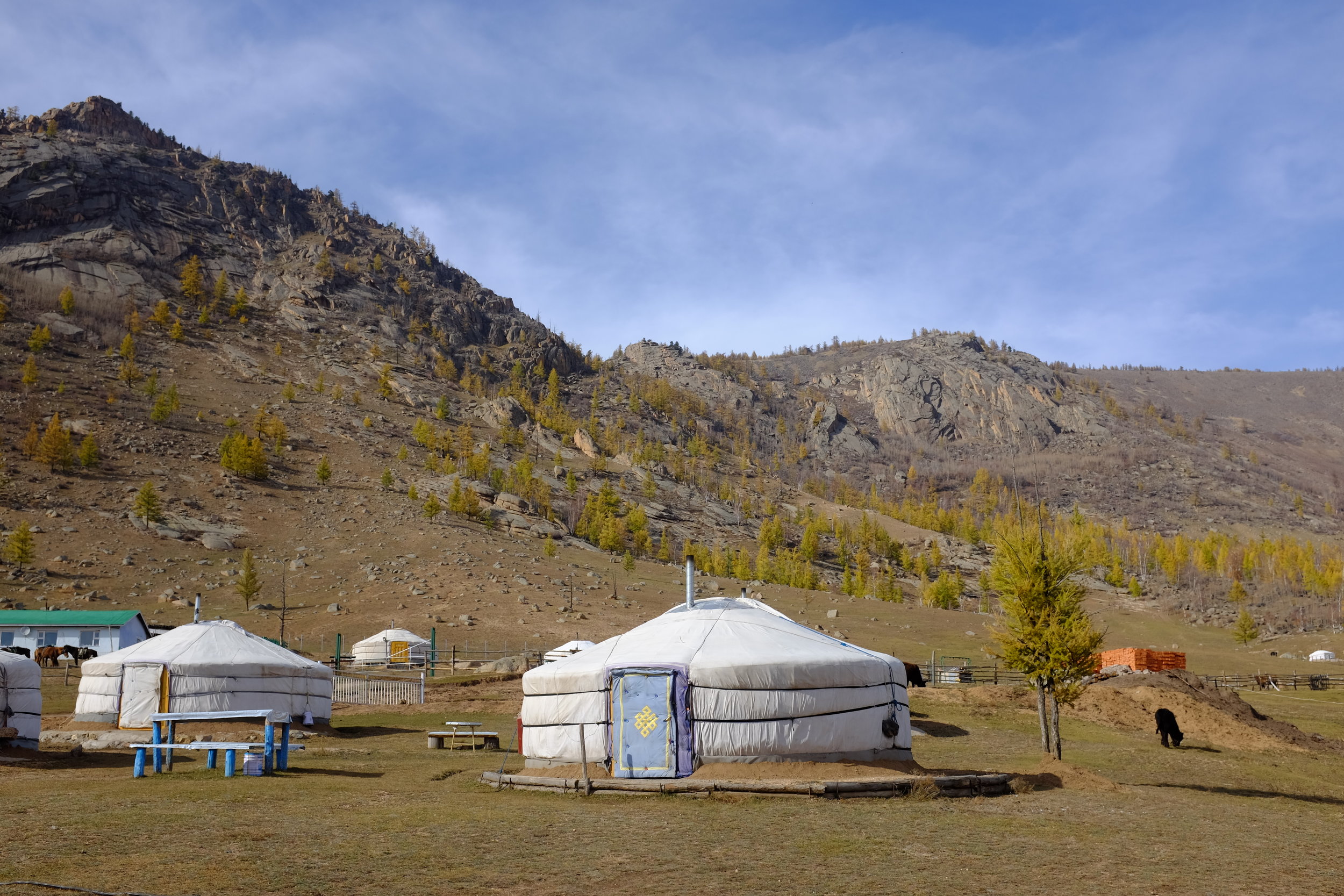 Top photo Mongolia.JPG