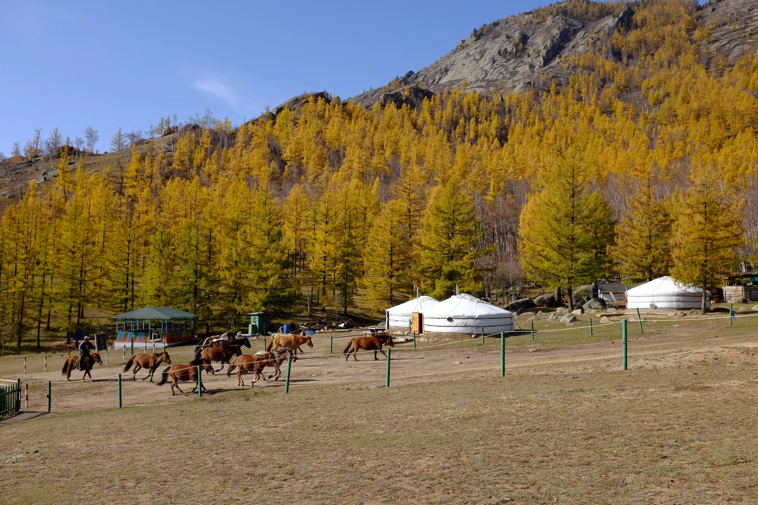terelj park view 1