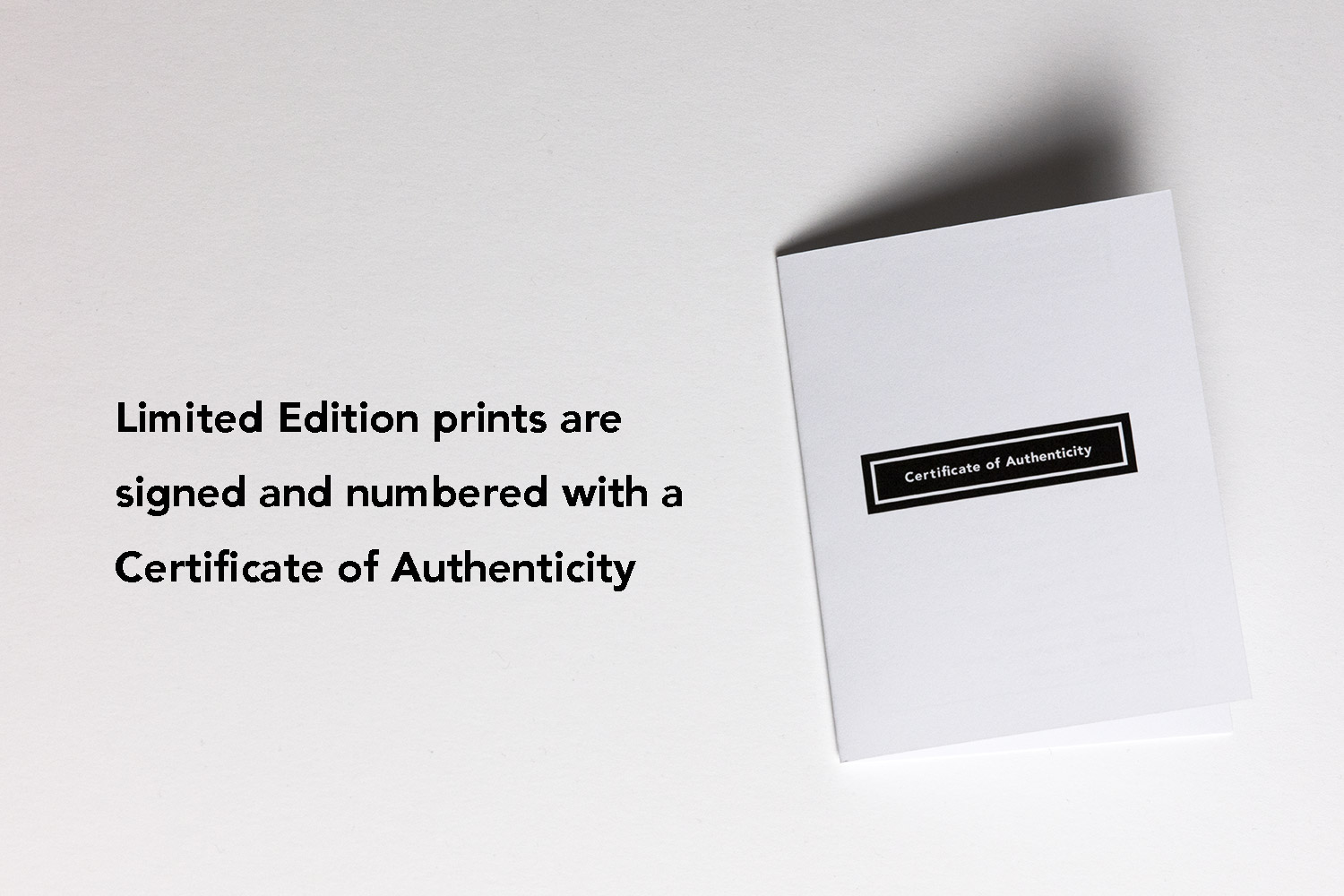 RBP-COA-MOCKUP-1-sqr.jpg