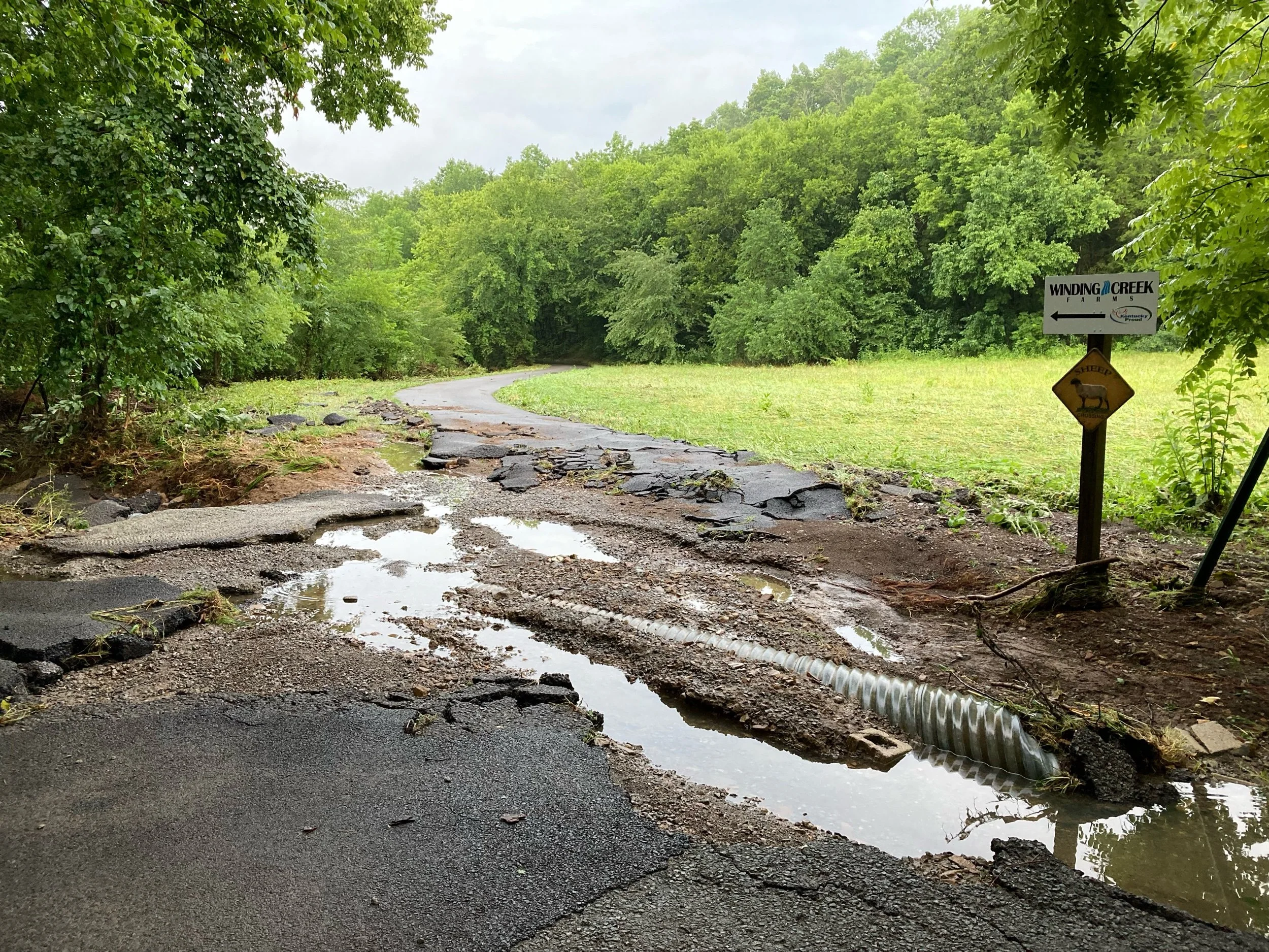 July Flooding
