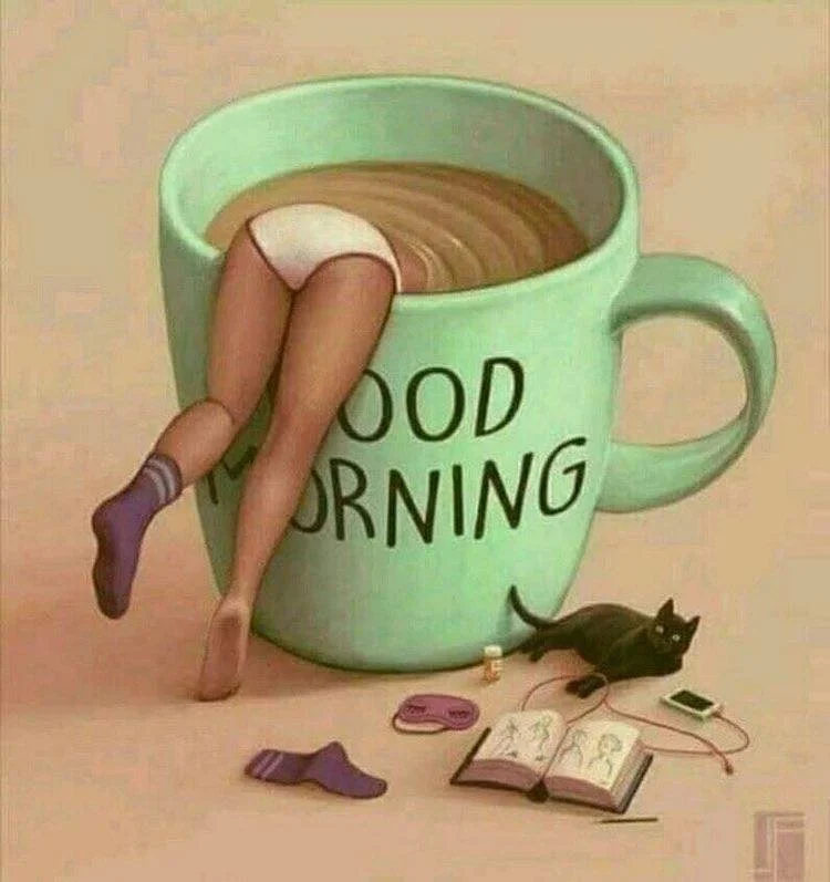 Morning