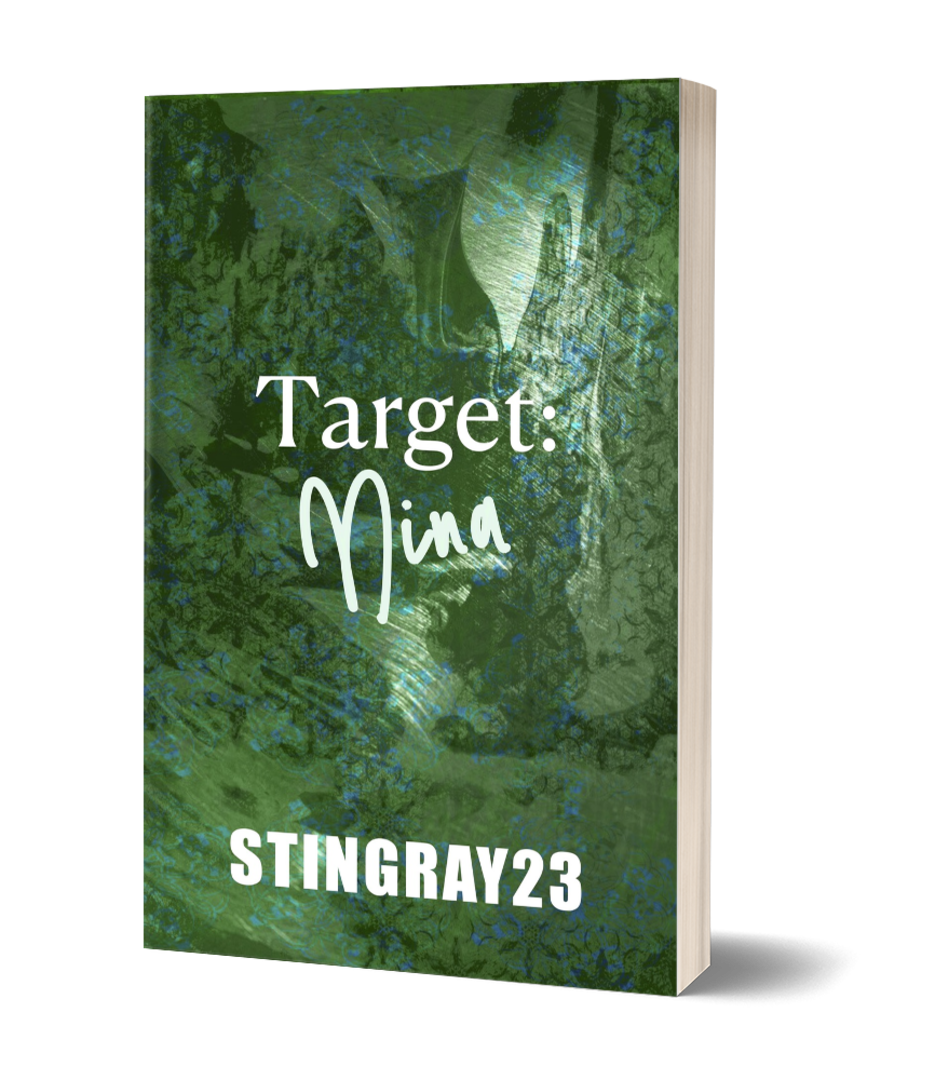 2 Target Nina ebook cover.jpg