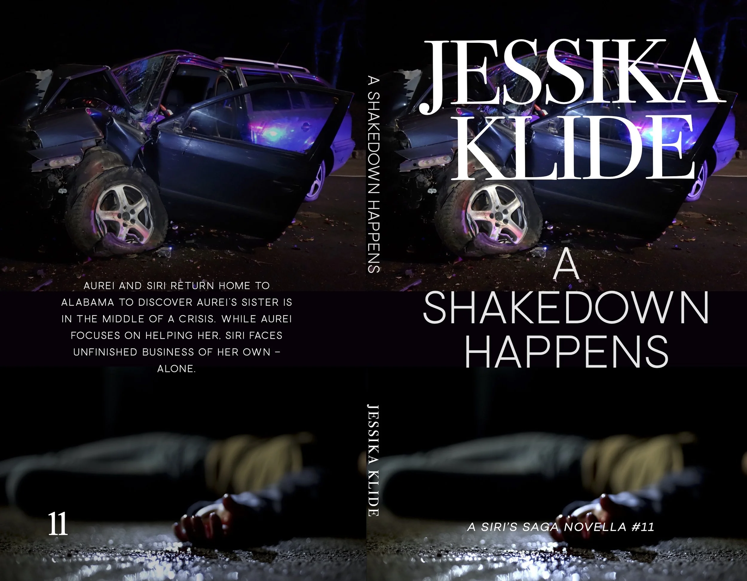 11 A Shakedown Happens new pic PB cover.jpg