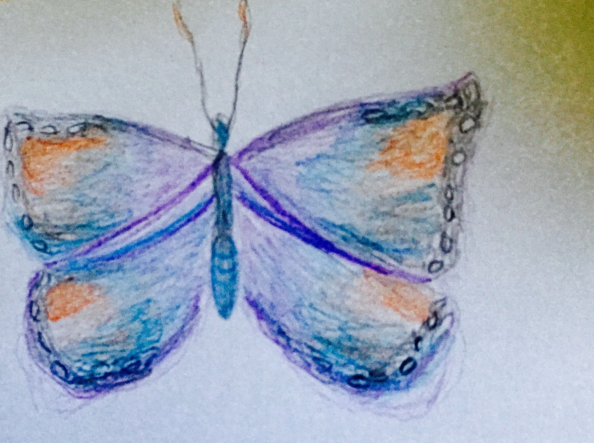 Global Warming Butterflies