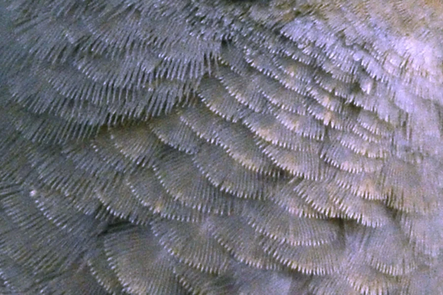 5896098874_65b3539166_b.jpg