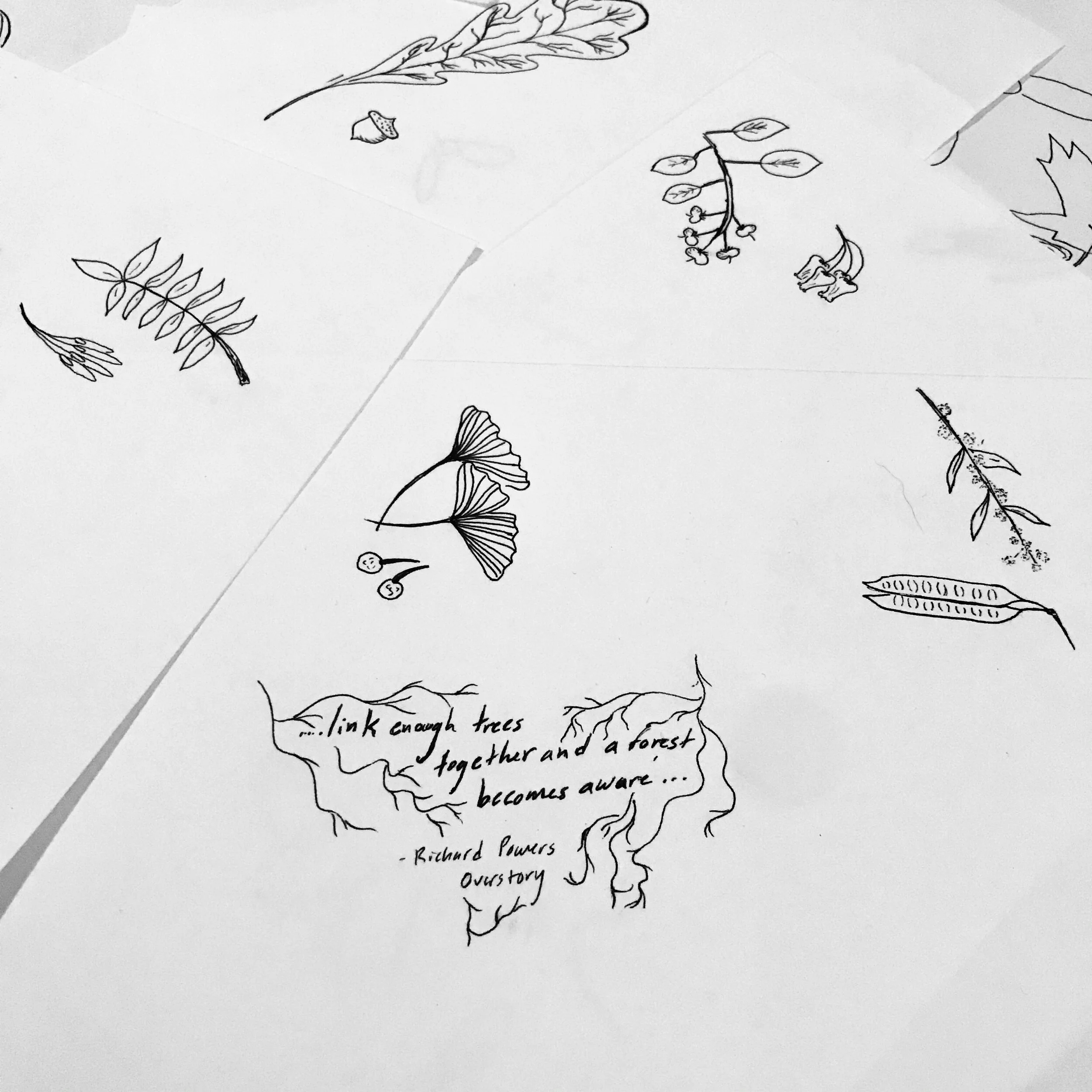 Thank you all for coming along with us on the journey into the forest. It has been an honor to make these posts for Anthology of Forests, to give to all the organizations supported throughout the month. I want to acknowledge the forest potential of this place, and any place you find yourselves in all of the ways a forest manifests Rather than focusing on the lack, I want to surrender to the wisdom the non-human life that completes the world in which we live. In learning to see and feel these connections, though they may be quiet, suppressed, maybe even frightening now, it has never left at all. It will be here. Because in these collections of feeling we find awareness. Thank you thank you. Find the book here: Anthology of Forests, at Printed Matter or Artbook @MoMA PS1