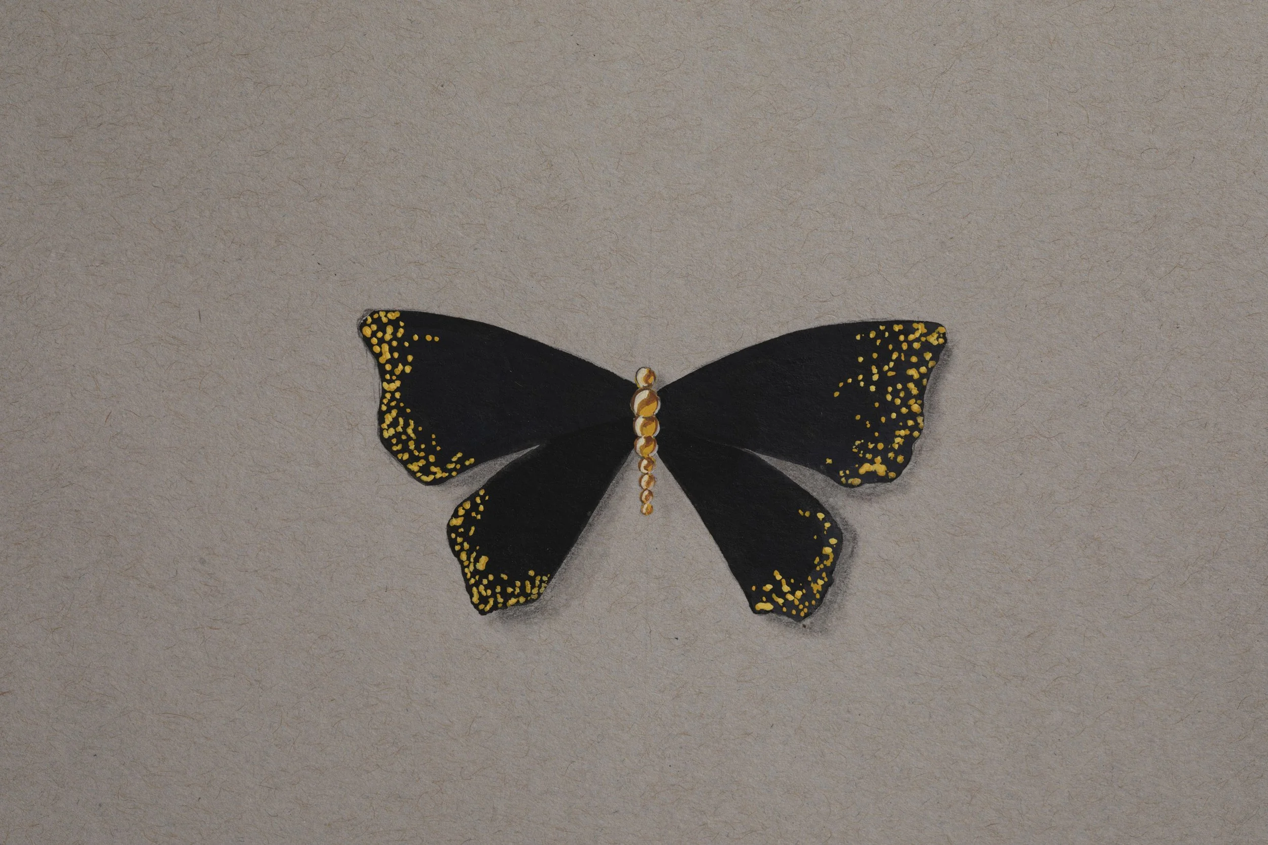 Gouache, Gold and Iron Butterfly