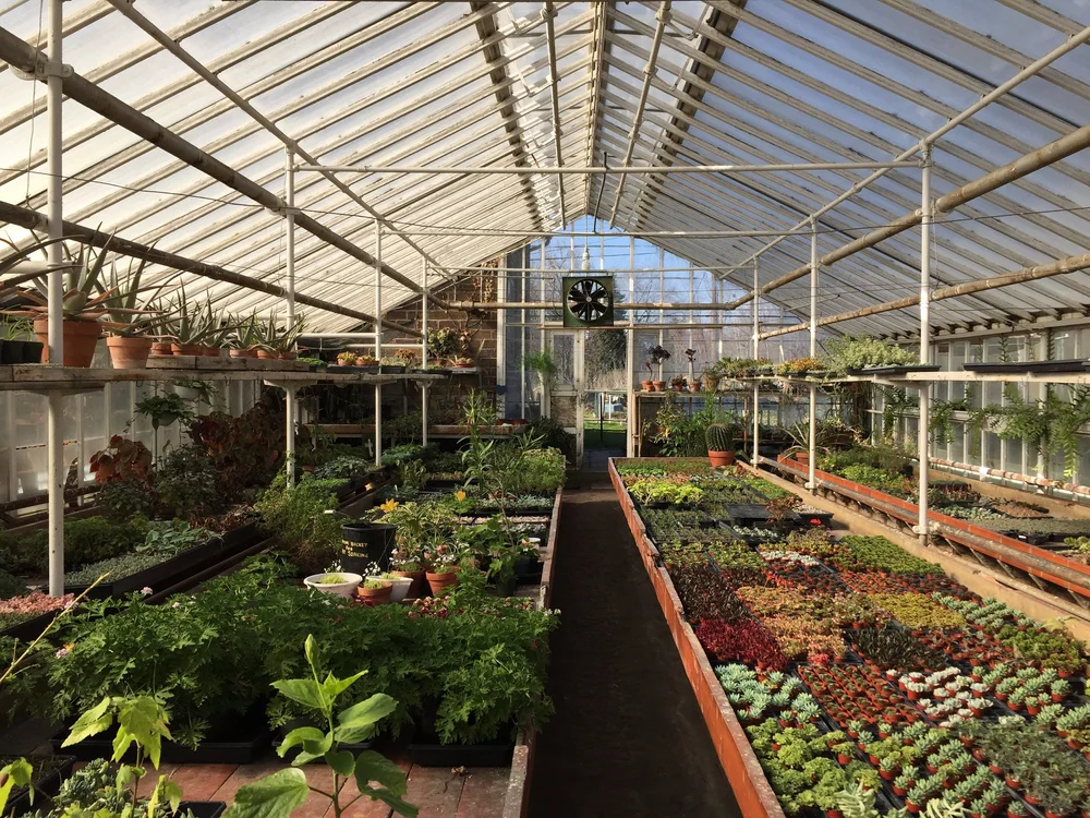 Graye S Greenhouse