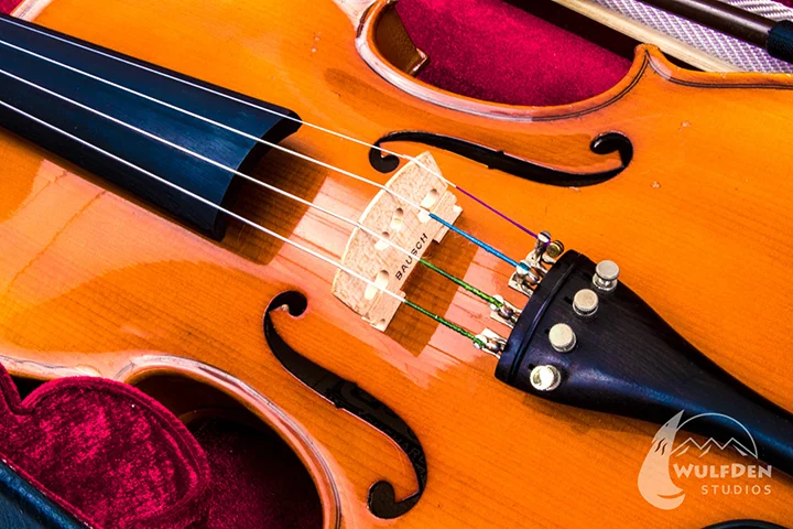 webViolin1.jpg