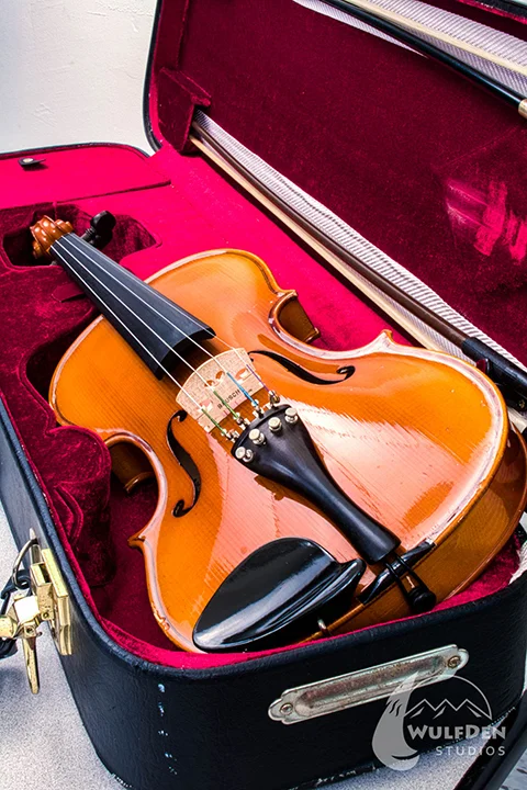 webViolin2.jpg