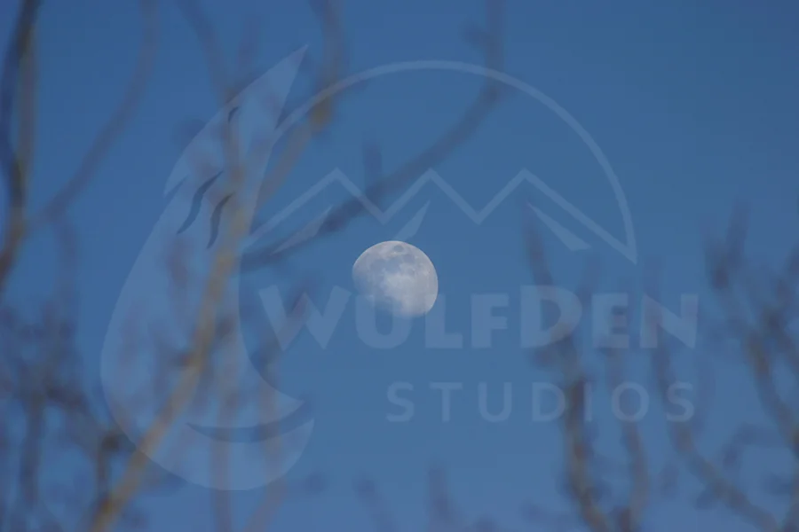 webWinterMoon.jpg