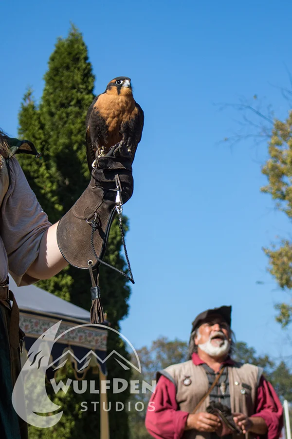 webRenFest1.jpg