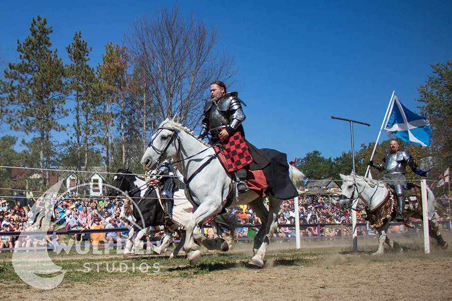 webRenFest14.jpg