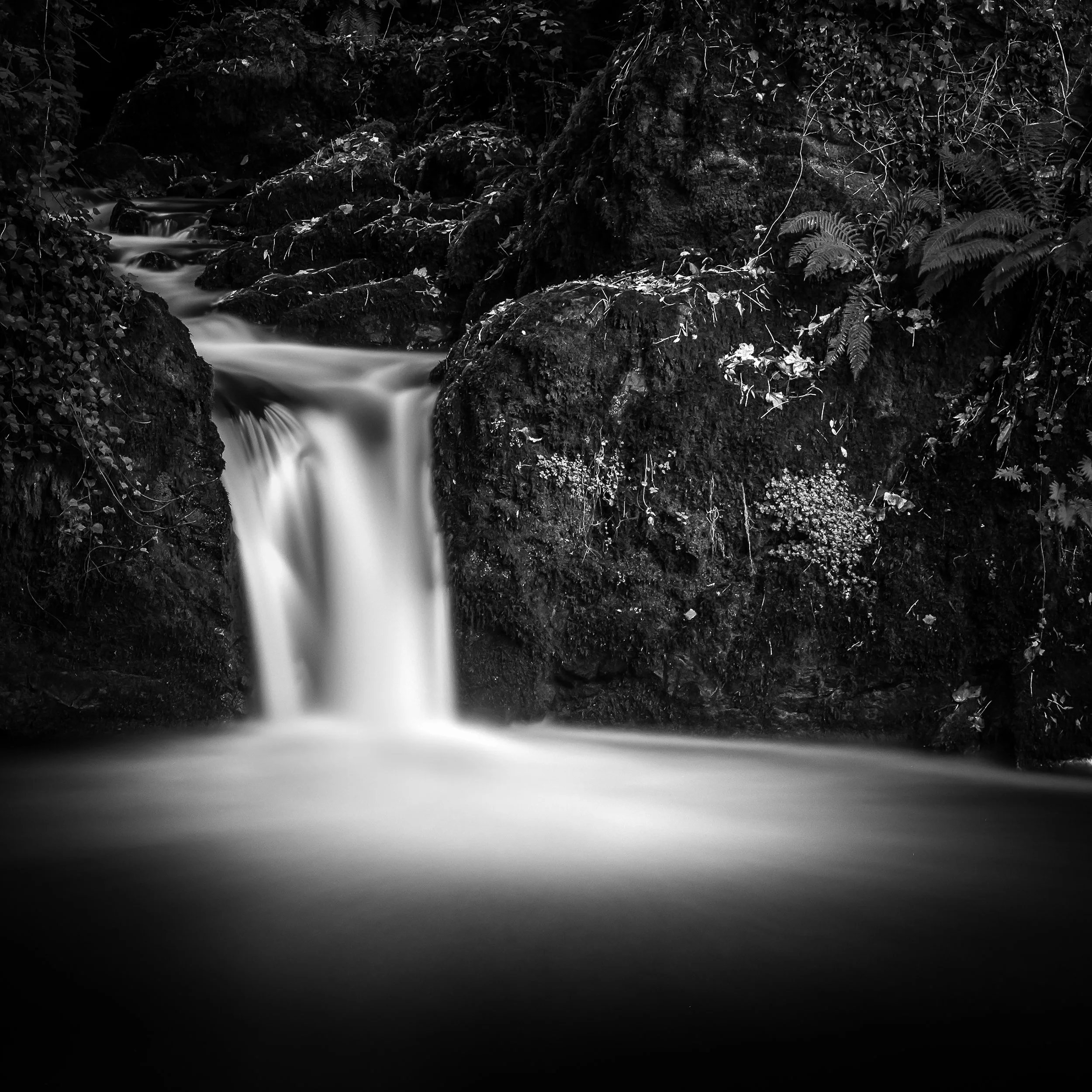 Edenvale Flow.jpg