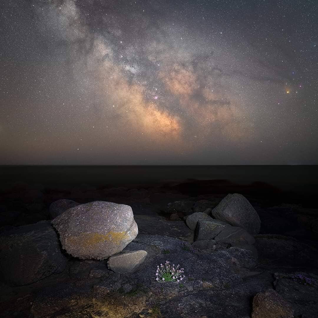 &quot;Seapinks and Skypinks&quot; 
First proper test of a new star tracker I got recently. 
It was difficult to arrange a composition from the rocks on the coastline but I settled on this with the Galactic core nestled between the two large rocks wit