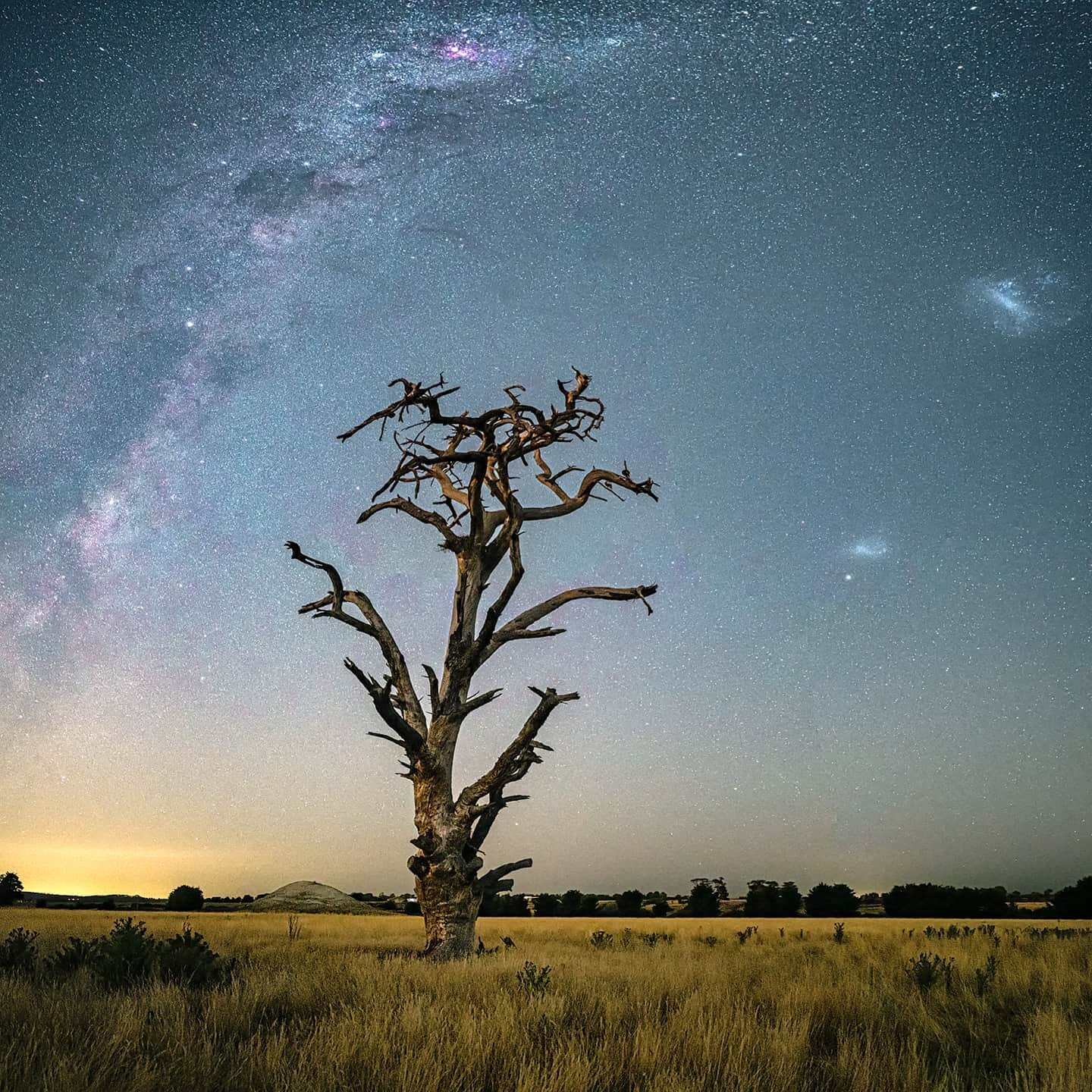 &quot;Southern Sky&quot;

An old dead cypress tree pointing out celestial objects in the Southern Hemisphere night sky. The Milky Way with the Southern Cross and Magellenic Clouds, amazing to witness and capture.