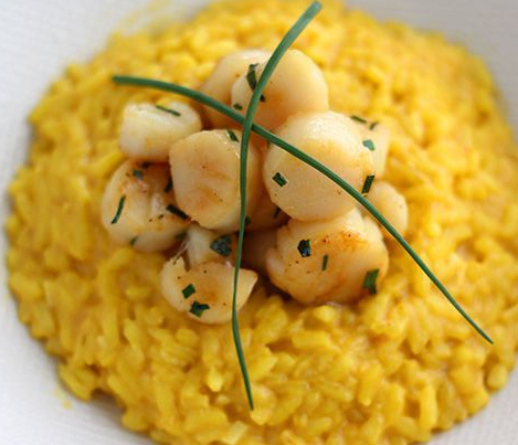 Rissotto de vieiras com açafrāo
