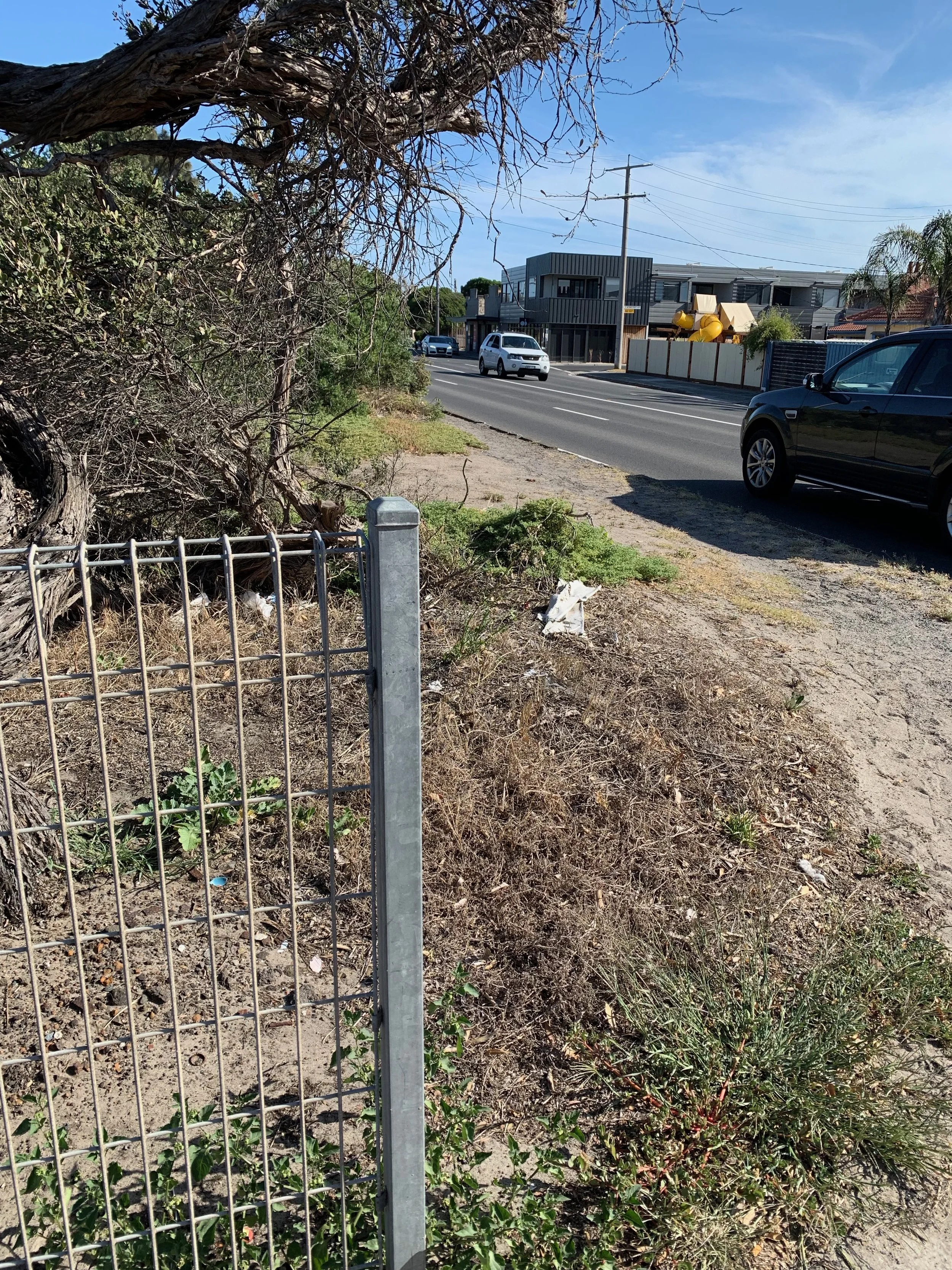 View from the crossing towards the desire-path and Highway