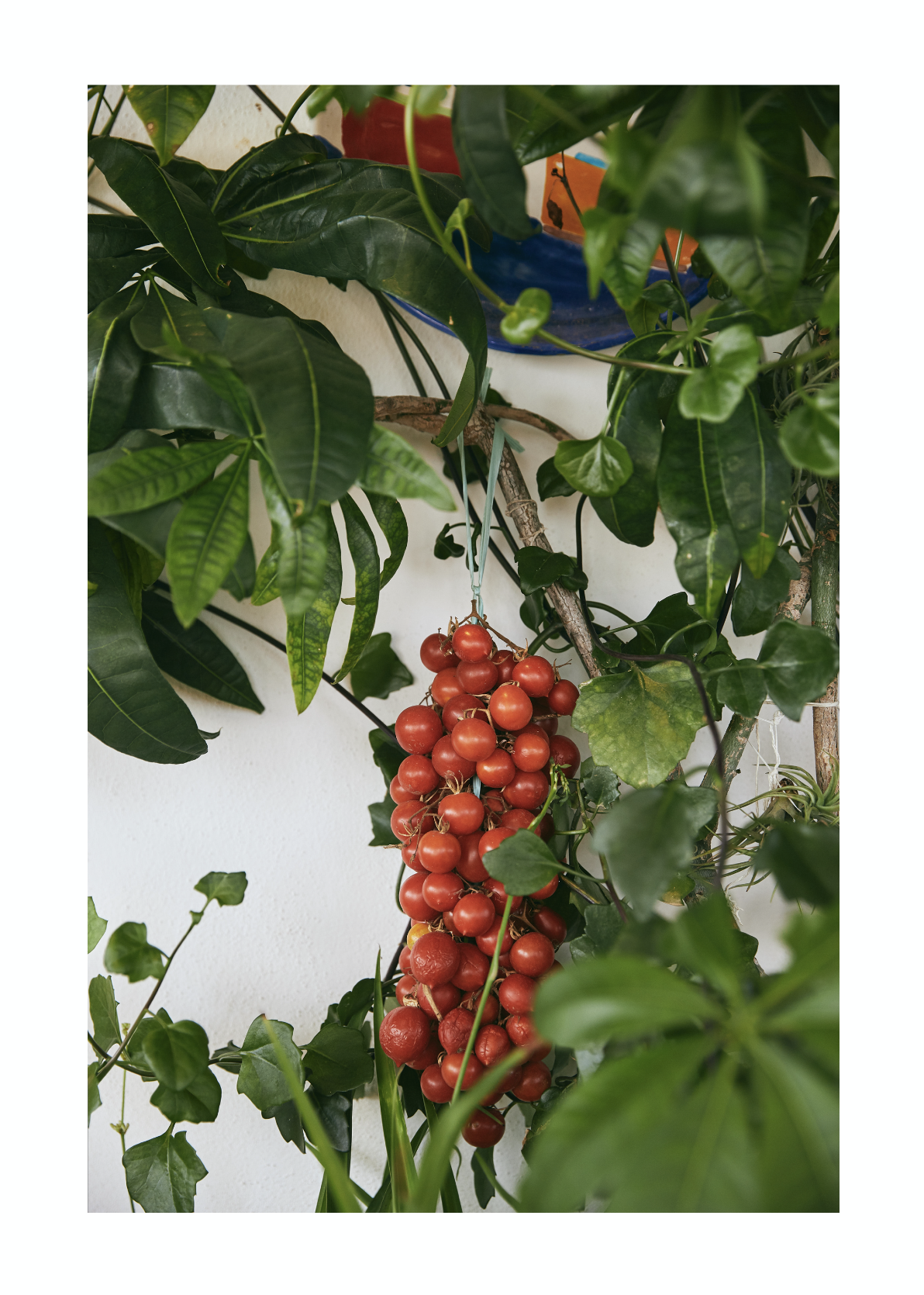 Screen Shot 2019-01-25 at 1.32.37 pm.png