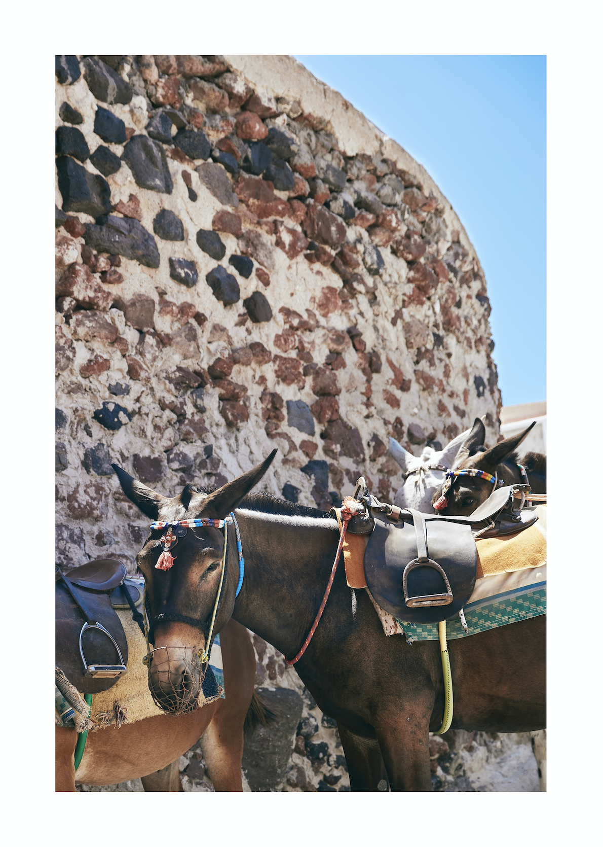 Screen Shot 2019-01-25 at 1.33.45 pm.png