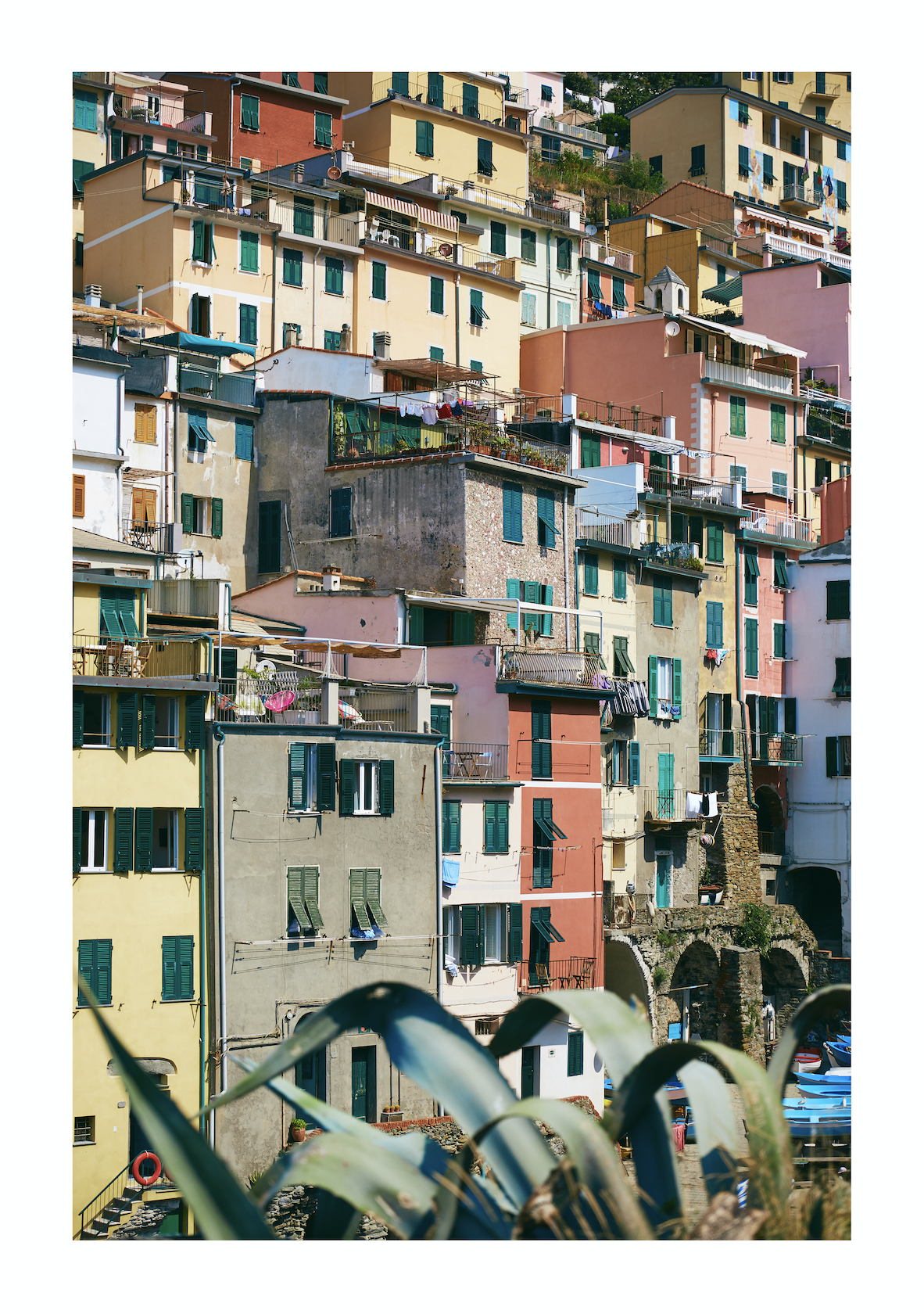 Screen Shot 2019-01-25 at 1.33.52 pm.png