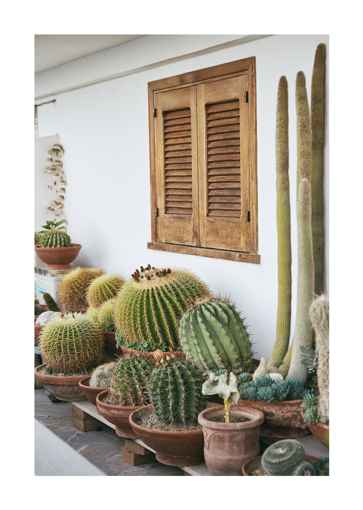 Screen Shot 2019-01-25 at 1.35.48 pm.png