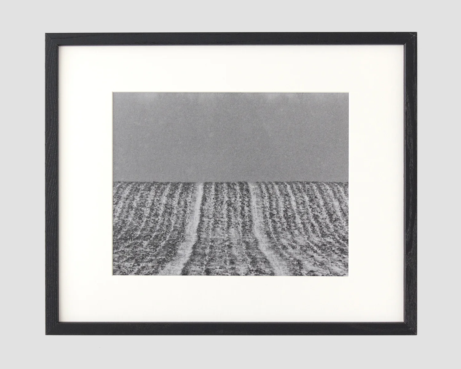 gelatin silver print image size 11 x 14 in. frame size 16 x 20 in.