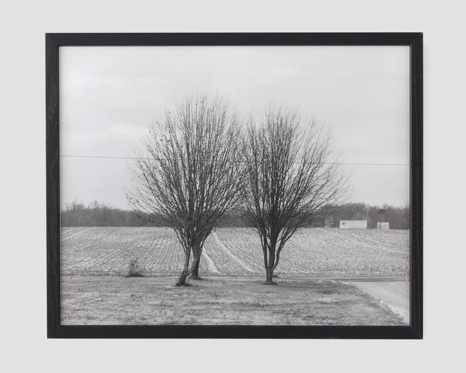 gelatin silver print 16 x 20 in.