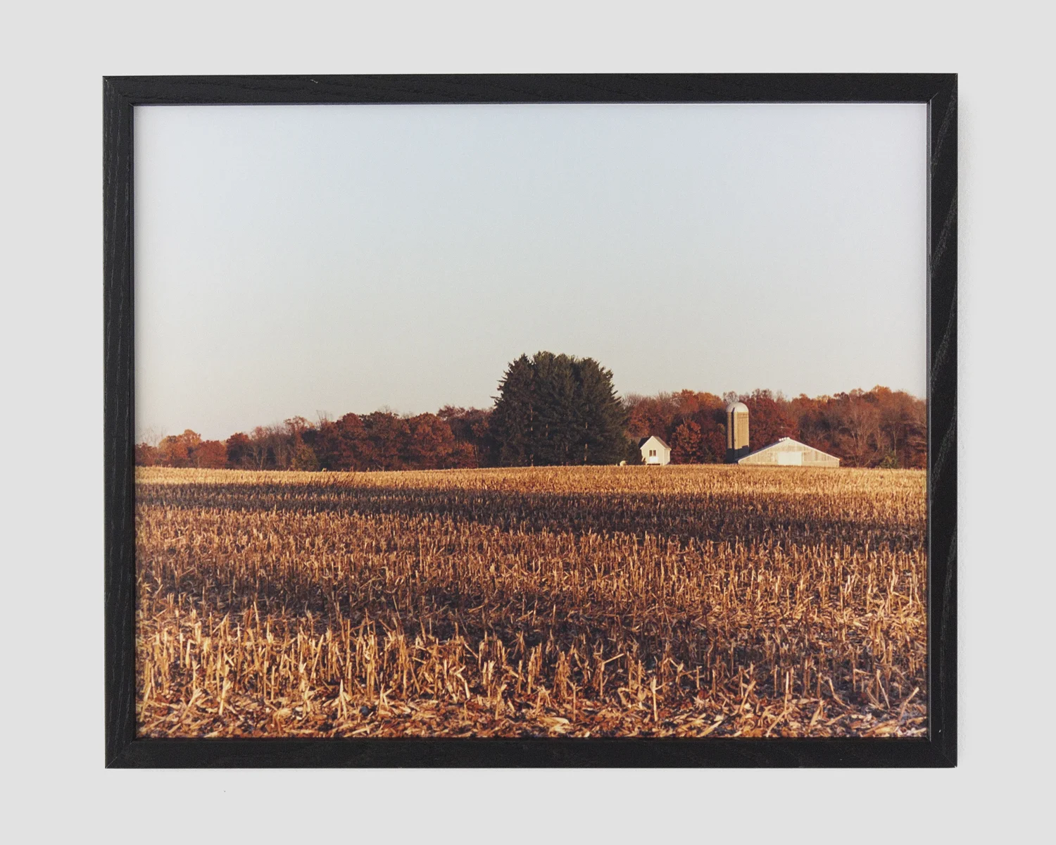 chromogenic color print 16 x 20 in.
