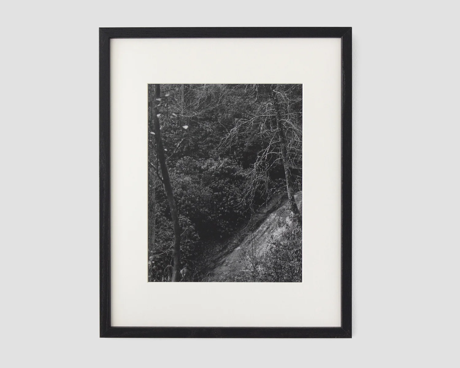 gelatin silver print image size 11 x 14 in. frame size 16 x 20 in.