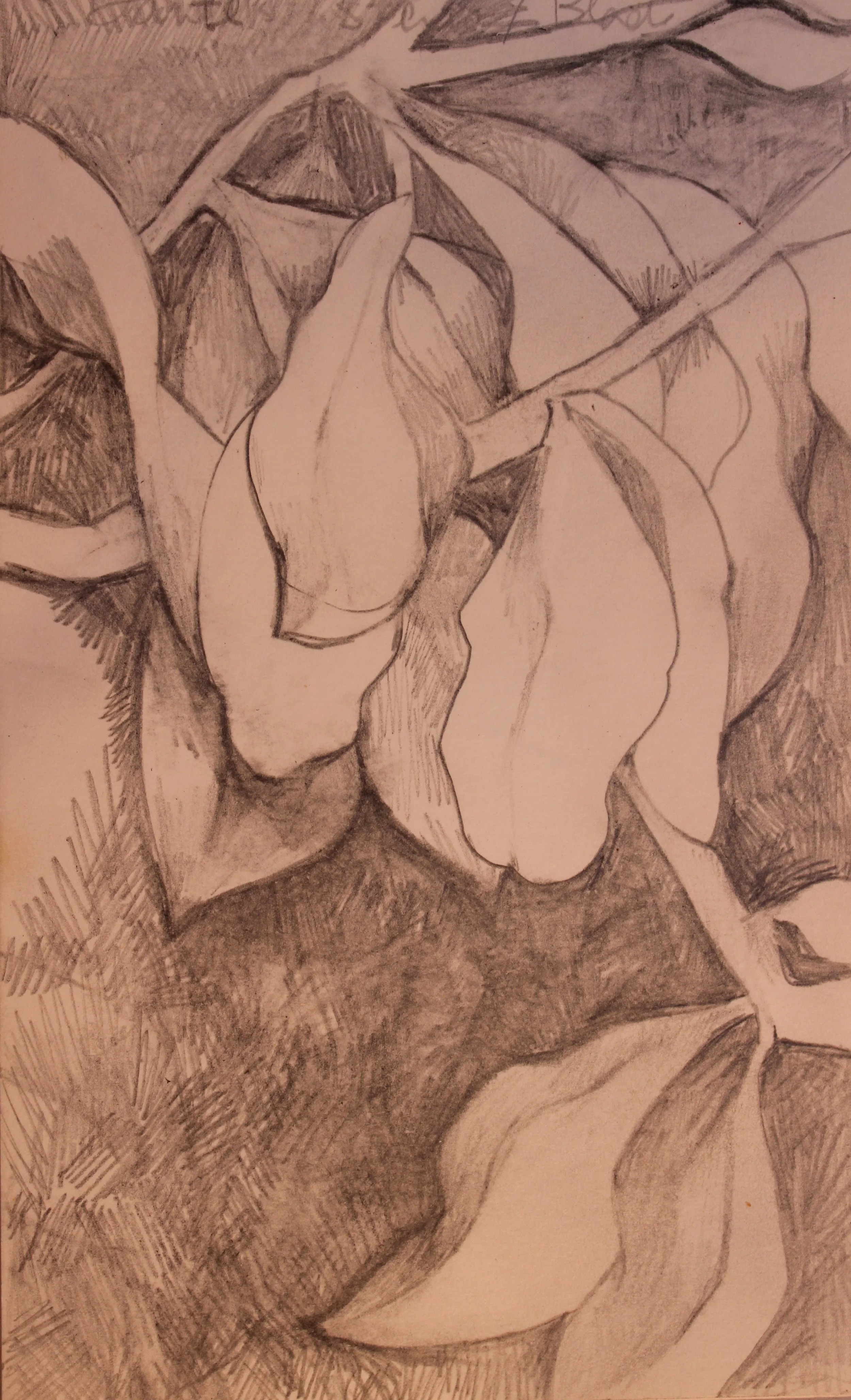 Sketchbook: Patio Leaves 