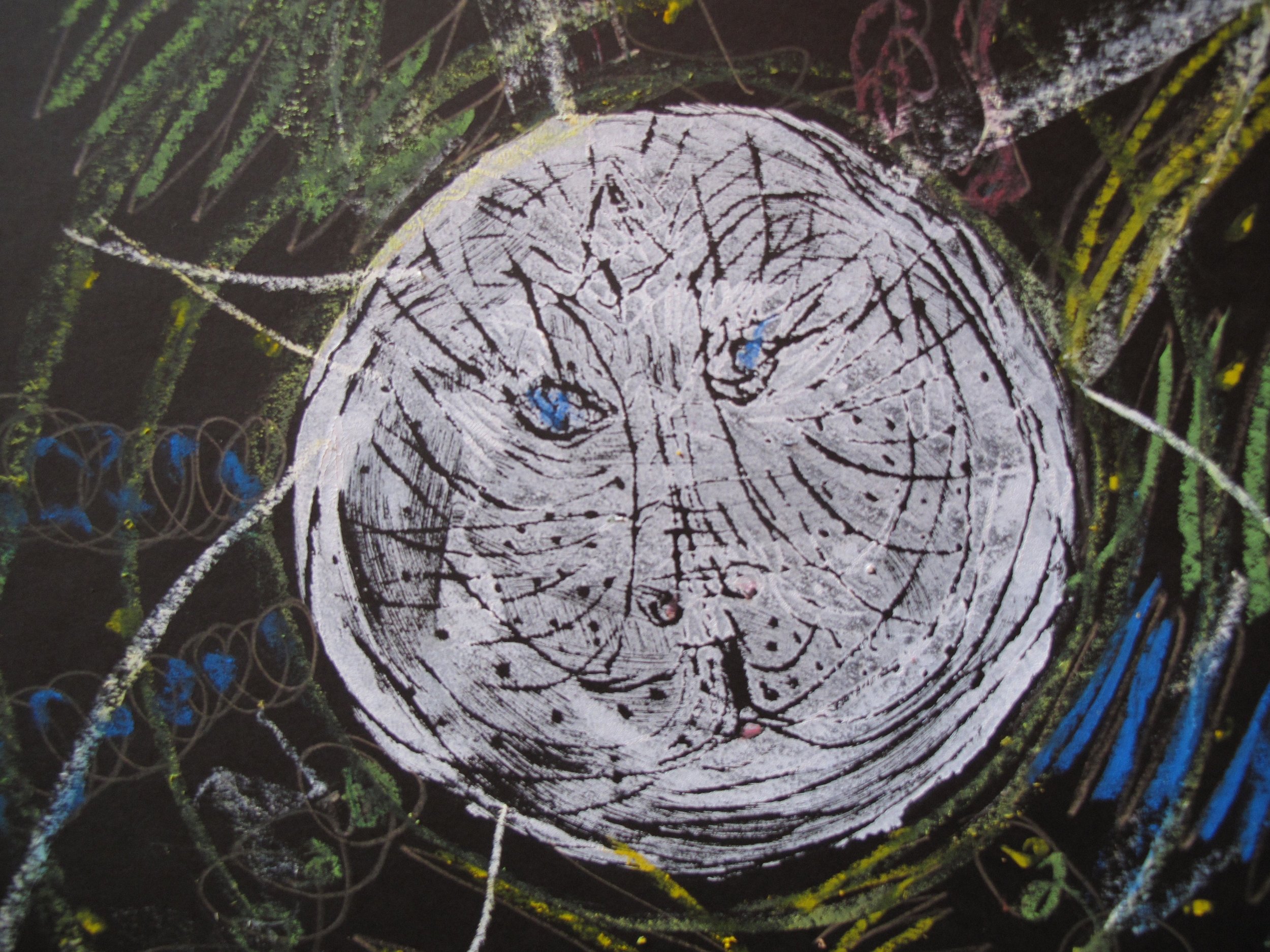 Pat's feline portrait.