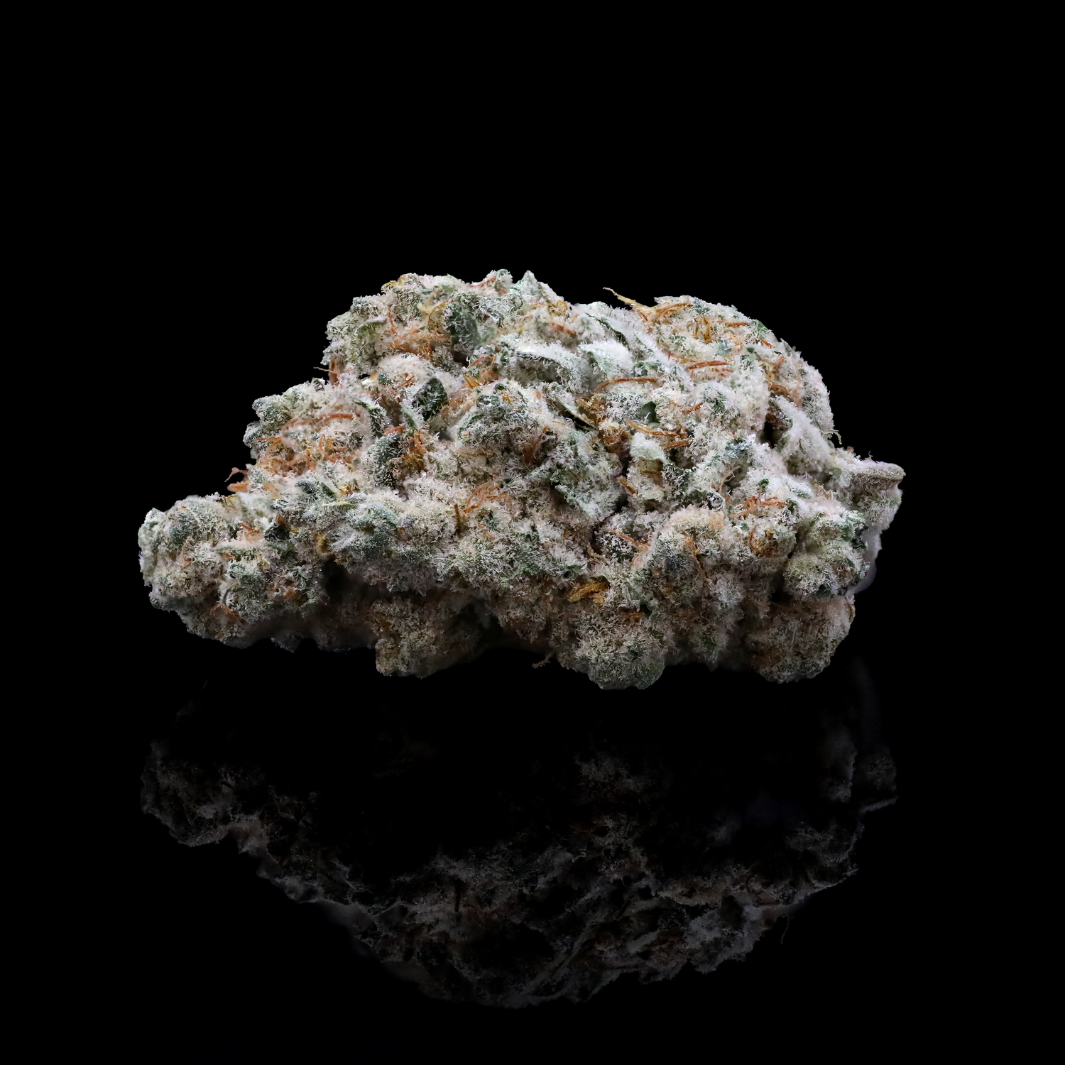 Medical Marijuana Dispensary — Maitri Medicinals