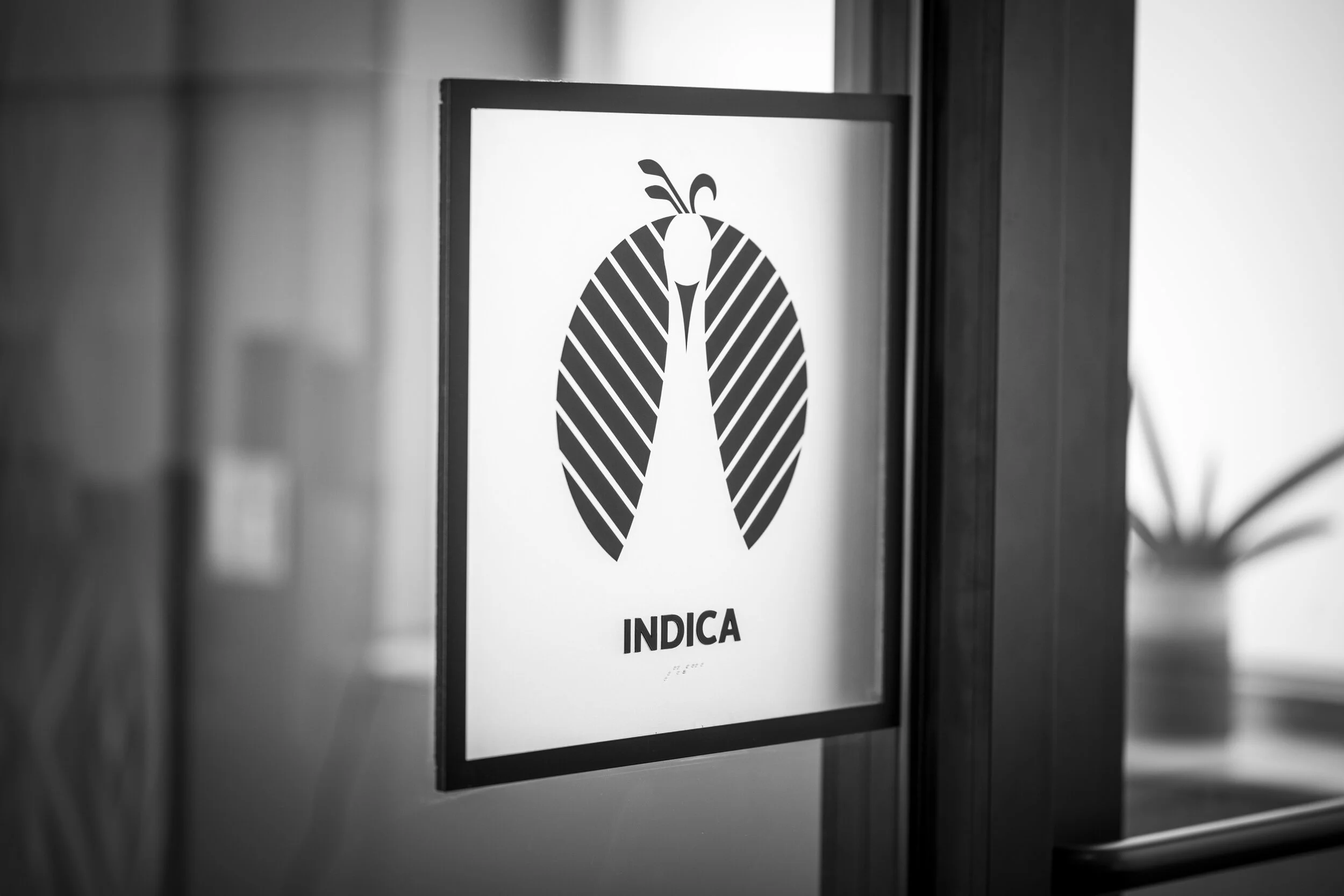 Indica vs Sativa: The 200+ year old cannabis classification system that may be all wrong