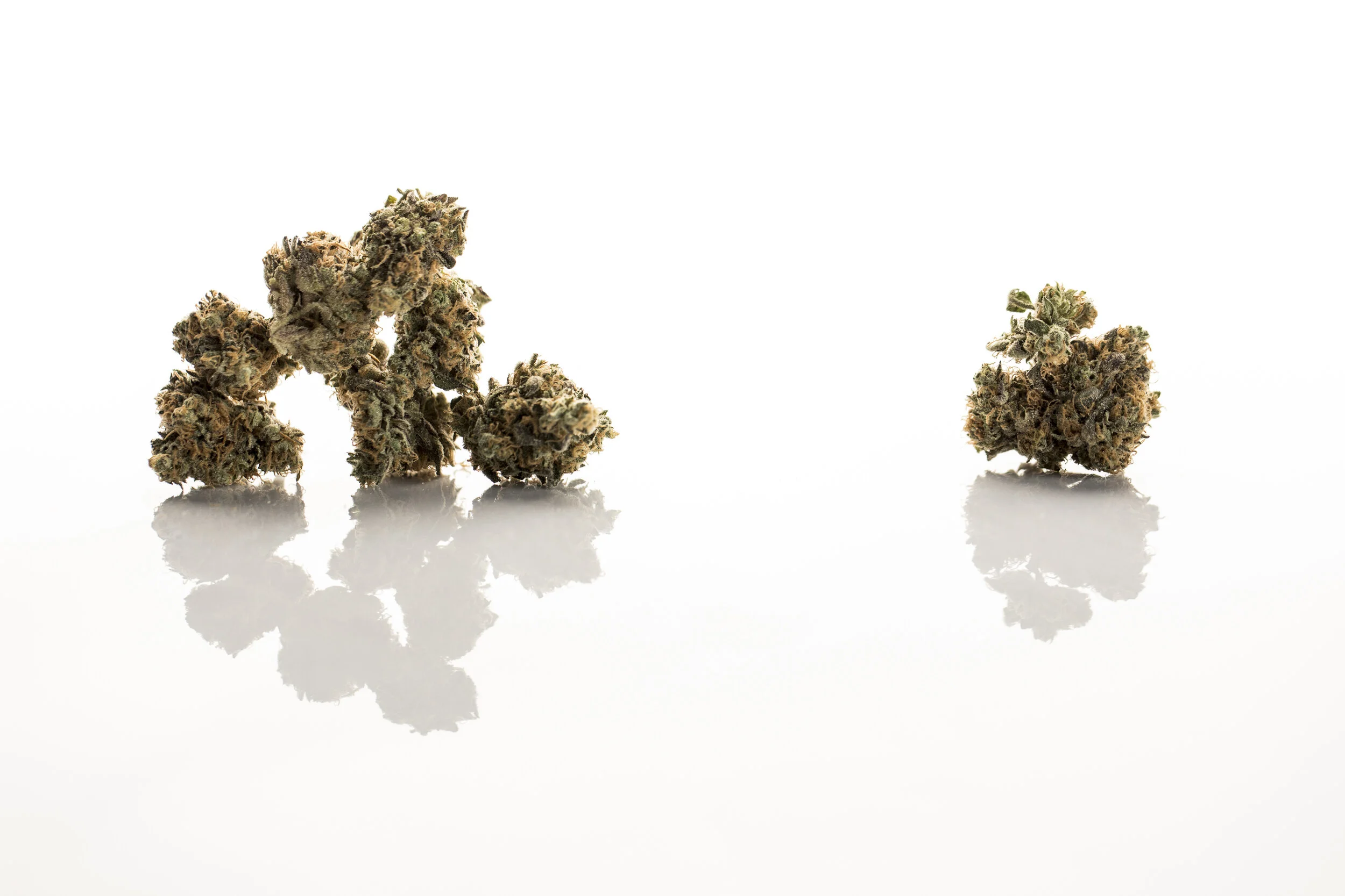 The role and requirements for a cannabis pharmacist in Pennsylvania